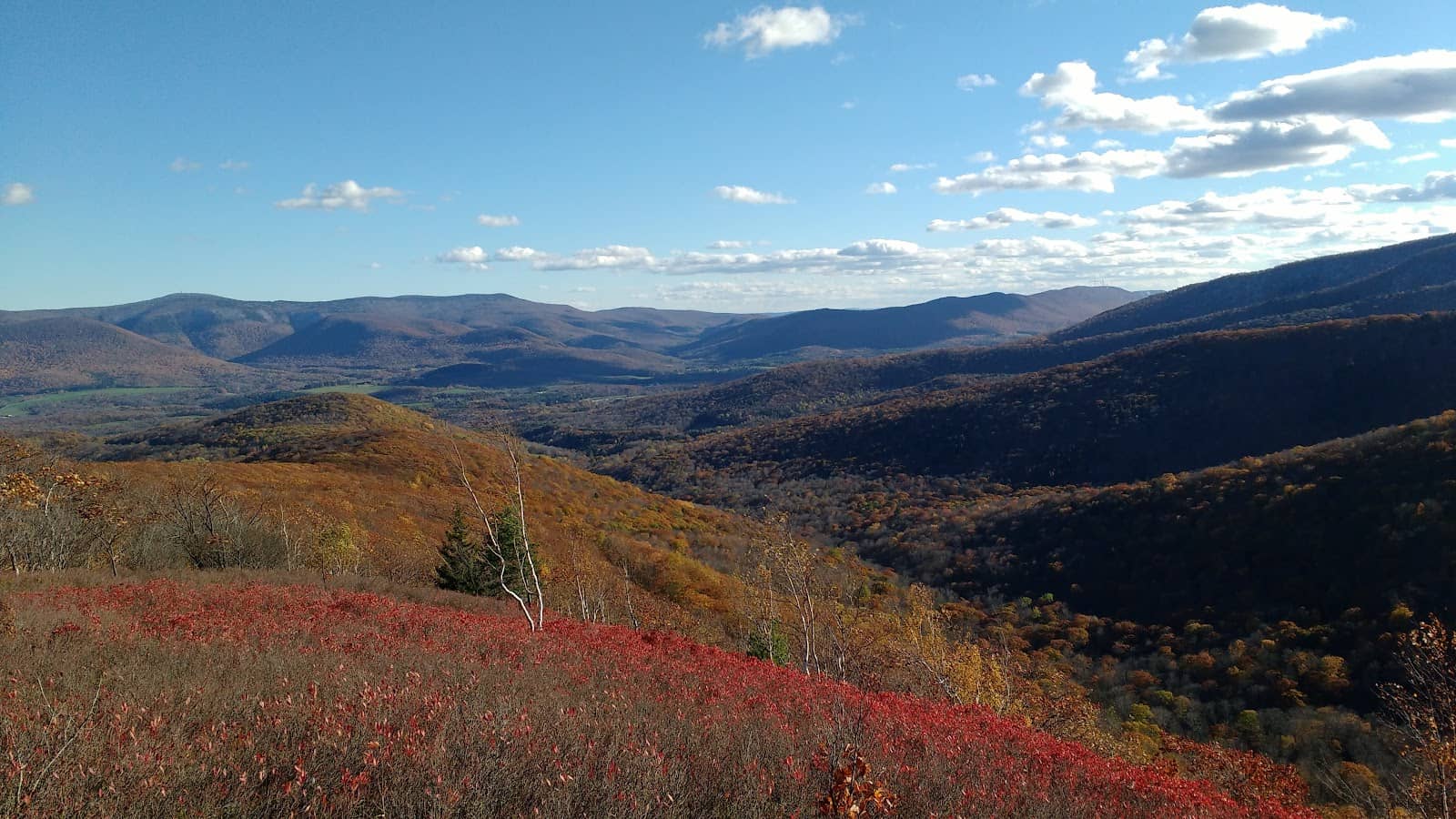 Hopkins Memorial Forest