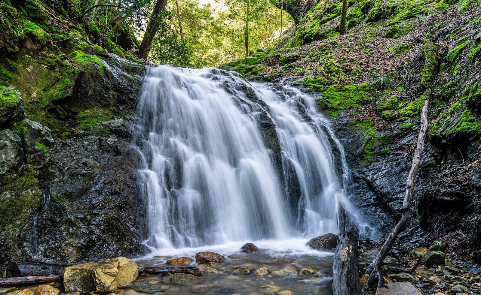Uvas Canyon County Park - Image 1