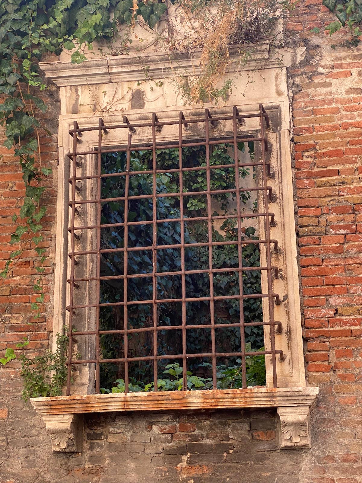 Vertical photo
