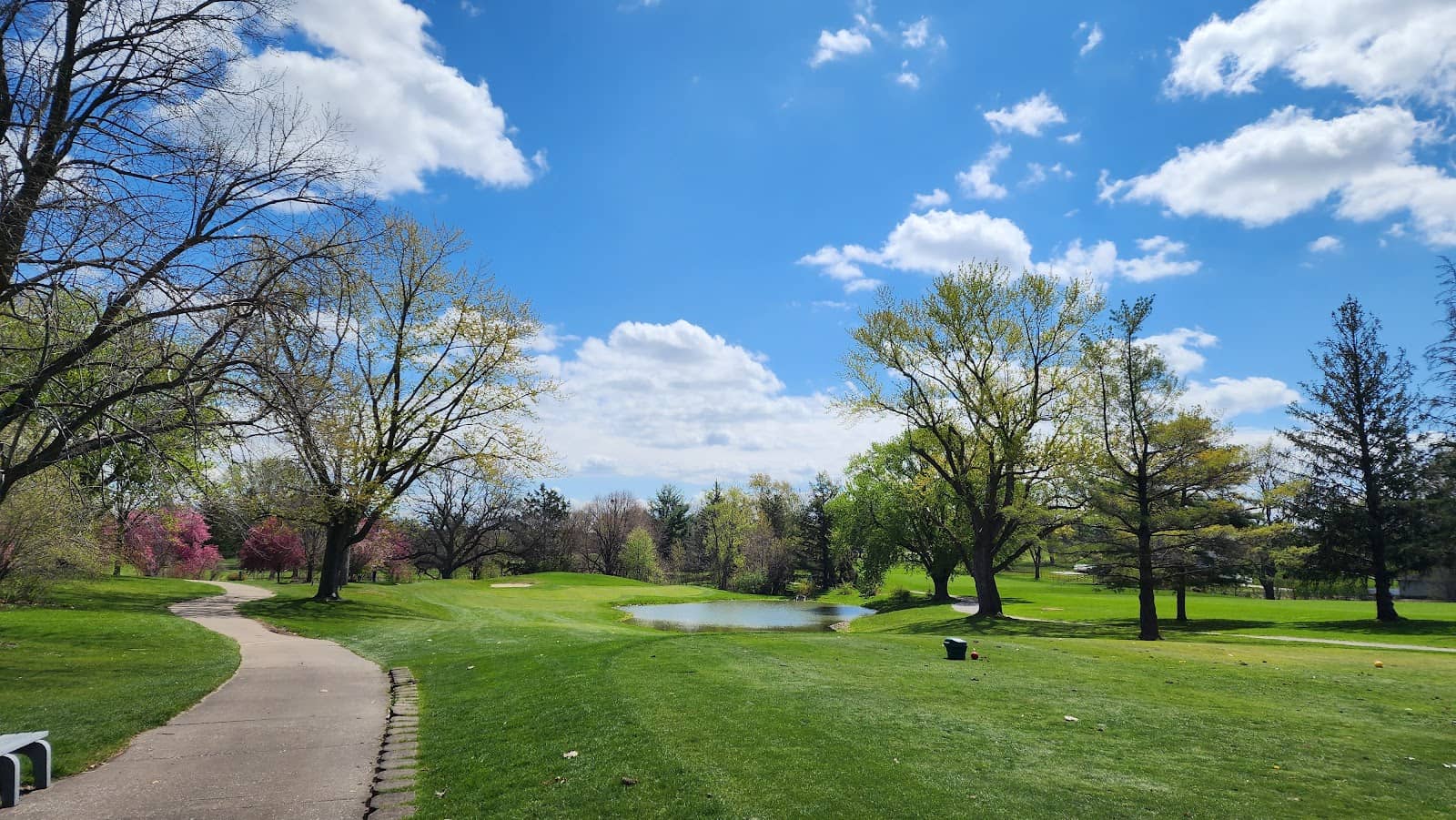 Expansive Playground