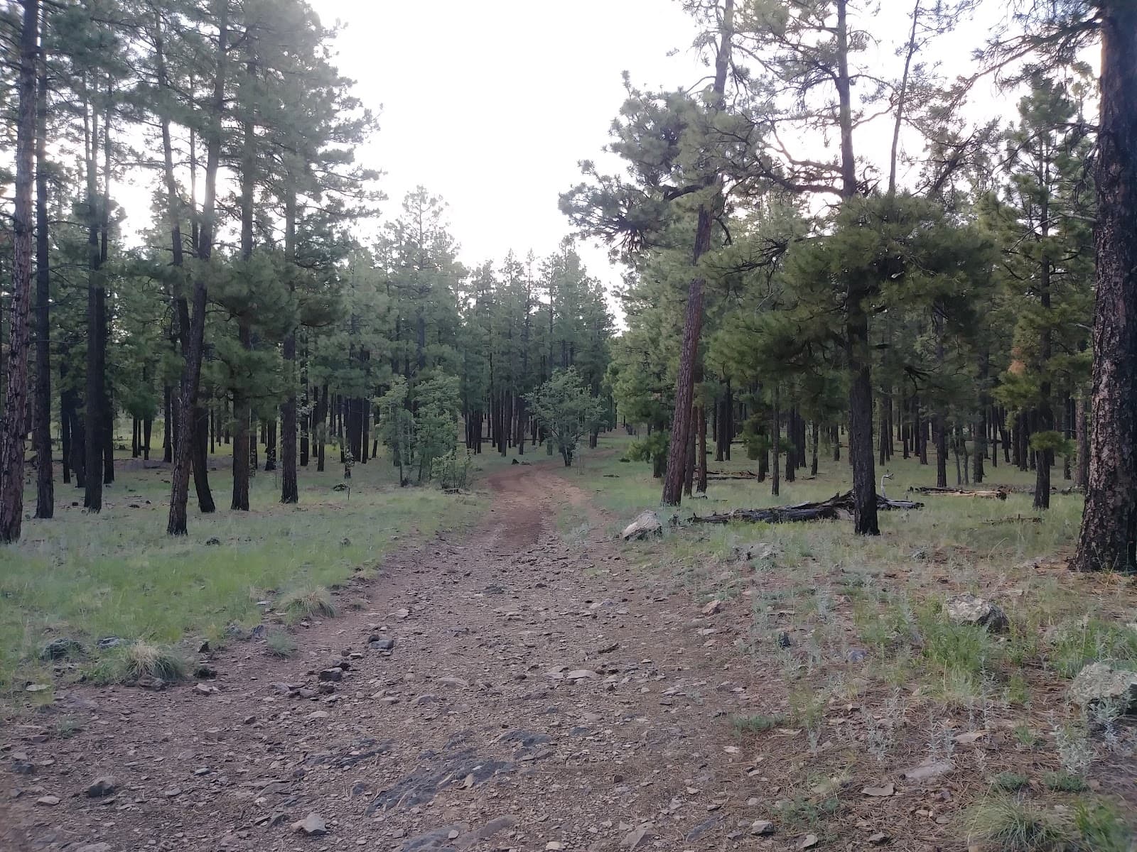 Observatory Mesa Trail System - Image 1