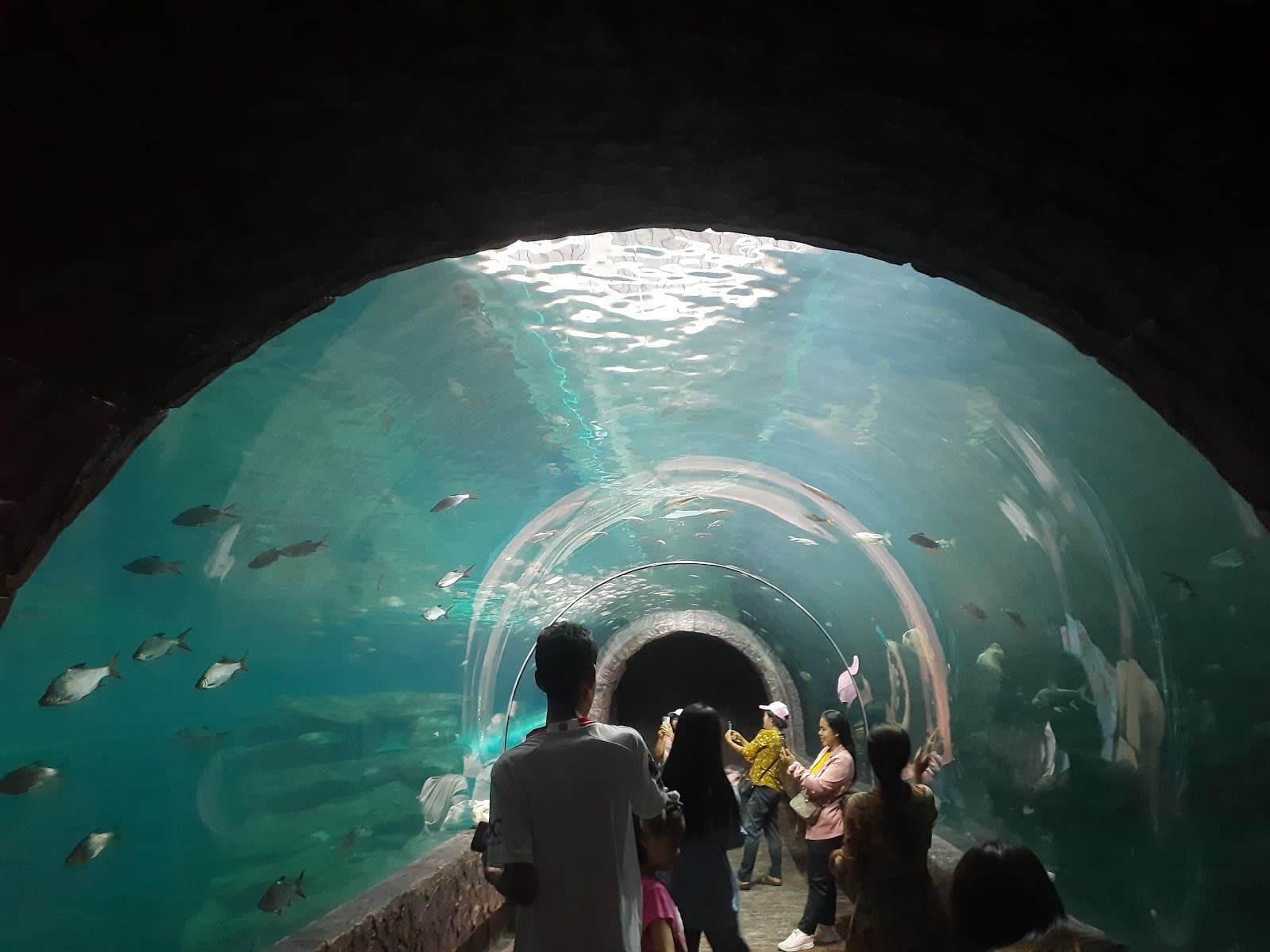 Aqua Mekong Aquarium (Nong Khai) - Image 1