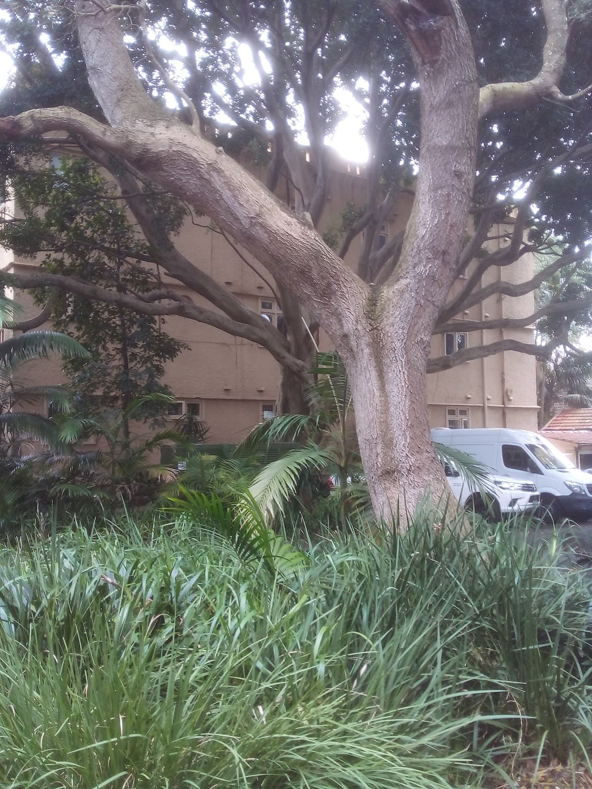 Lamrock Avenue - Image 1