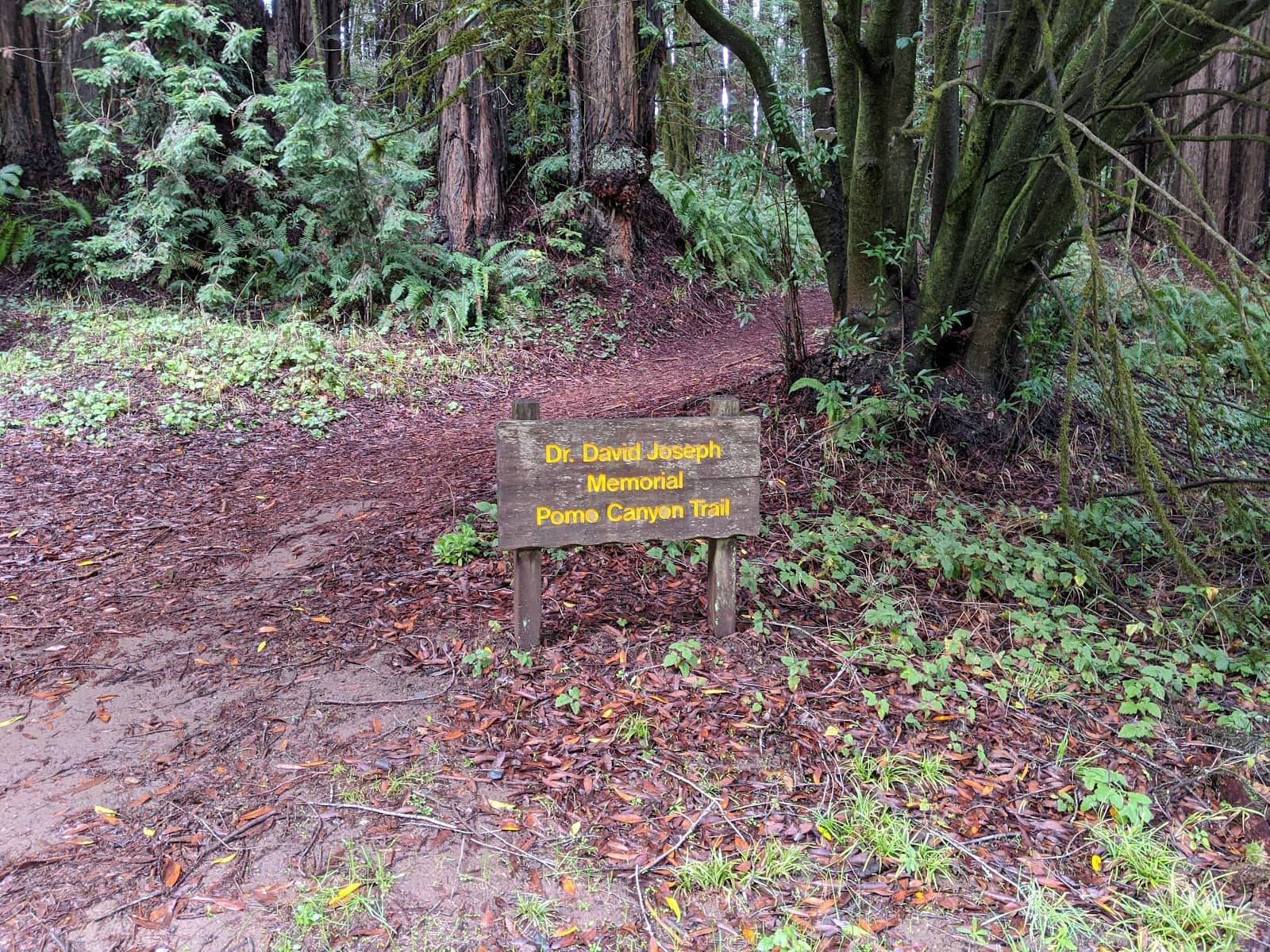 Russian River Views