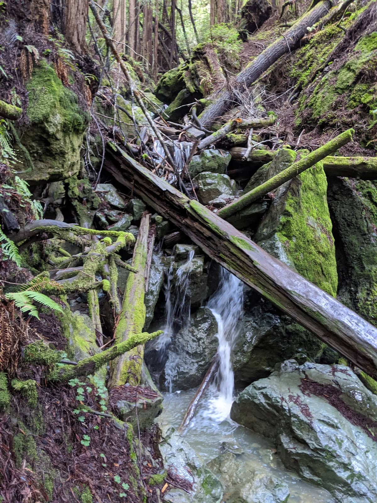 Vertical photo