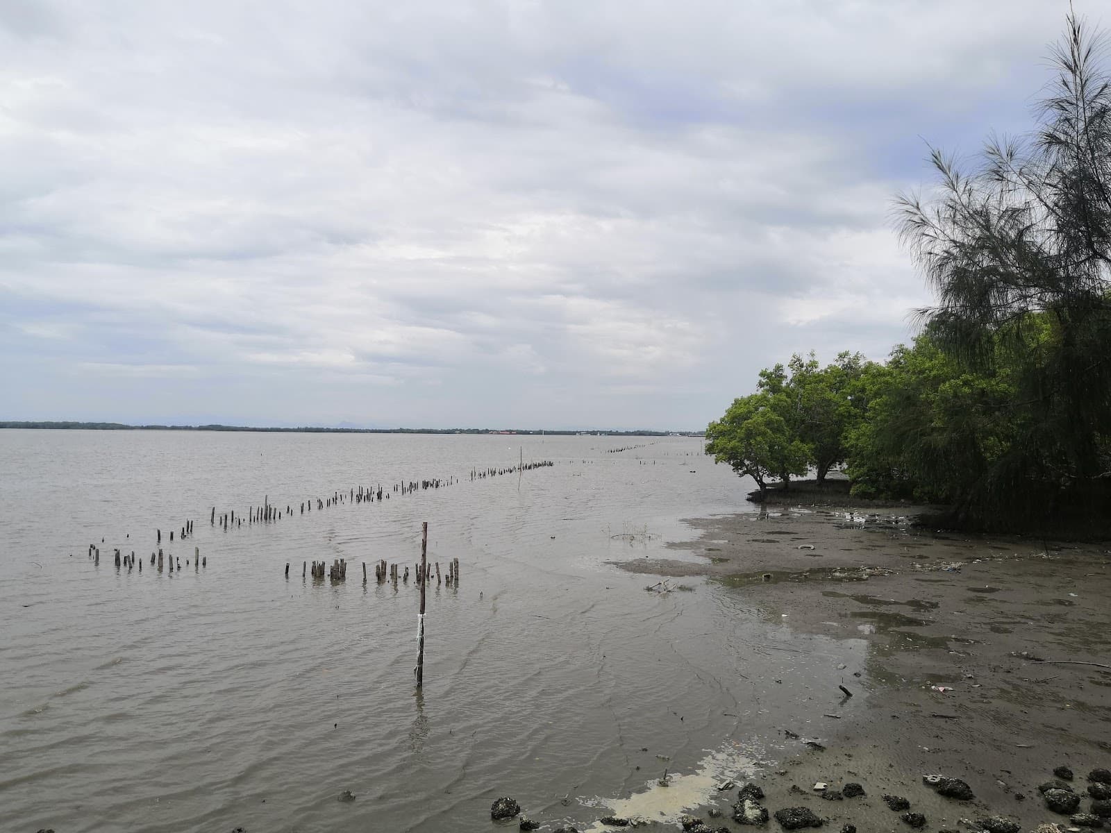Don Hoi Lot - Image 1