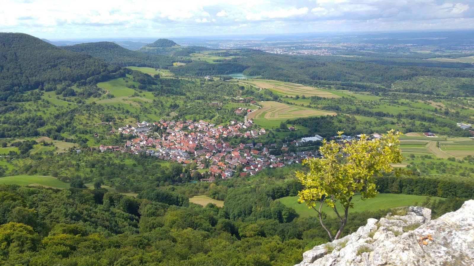 Seasonal Sales & Events