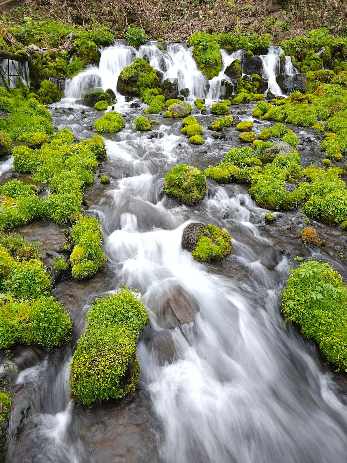 Fukidashi Park - Image 1