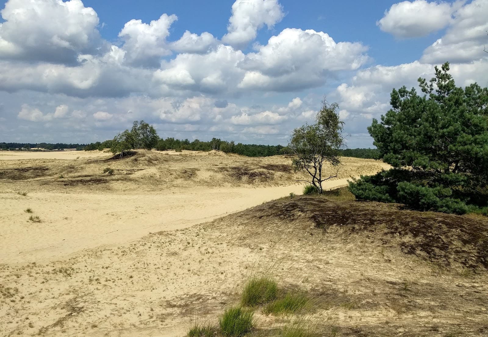 Loonse en Drunense Duinen National Park - Image 1