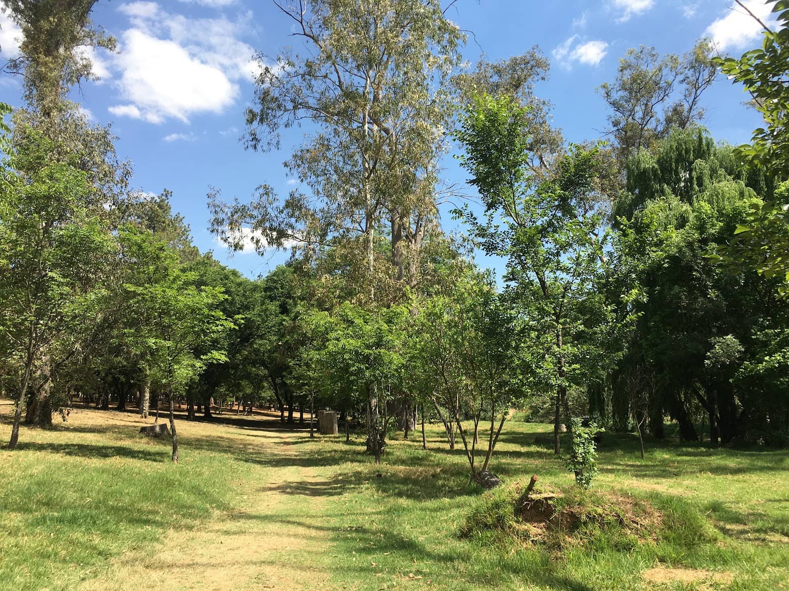 Nature's Serene Escape