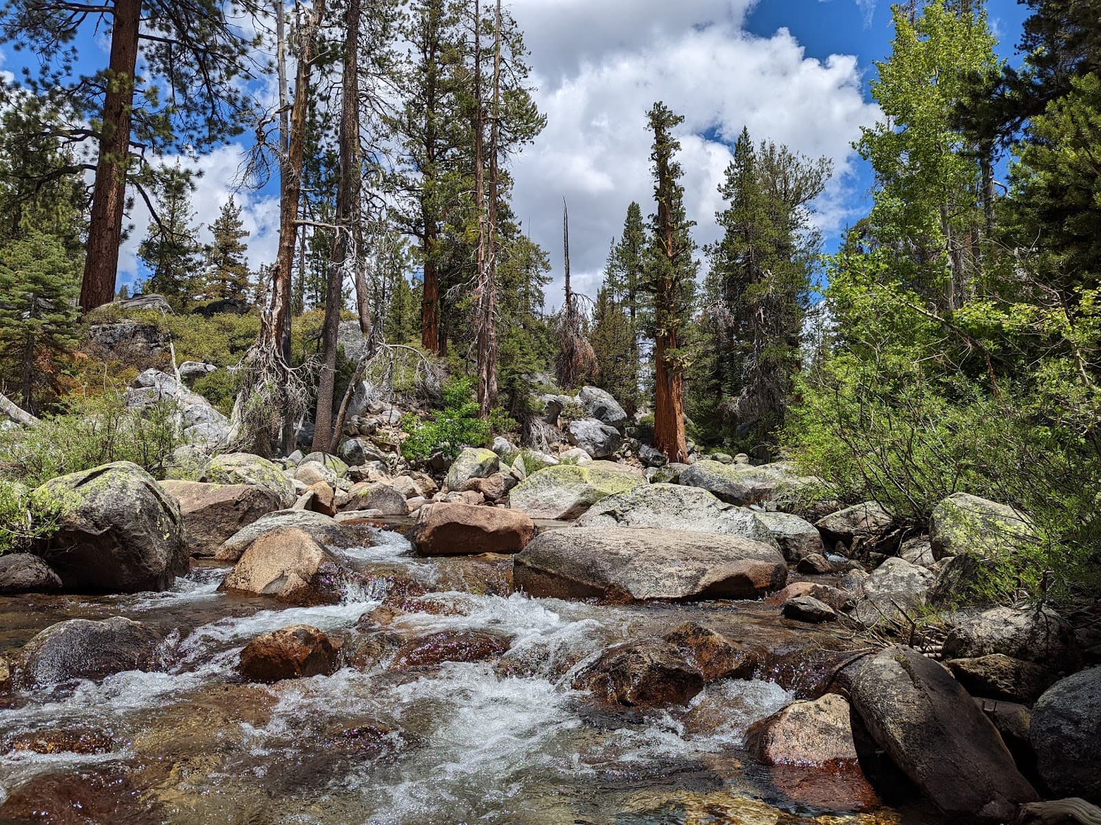Yosemite Valley Picnic Area - Image 1