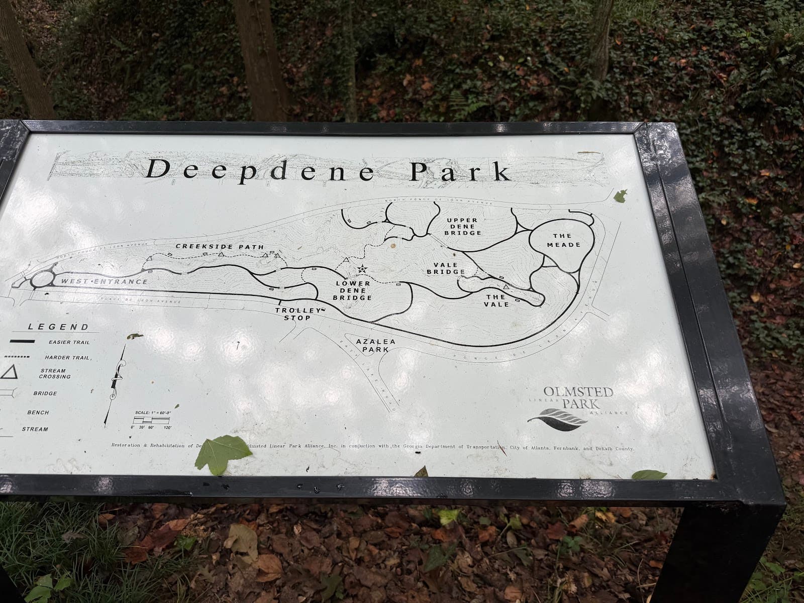 Deepdene Park - Image 1