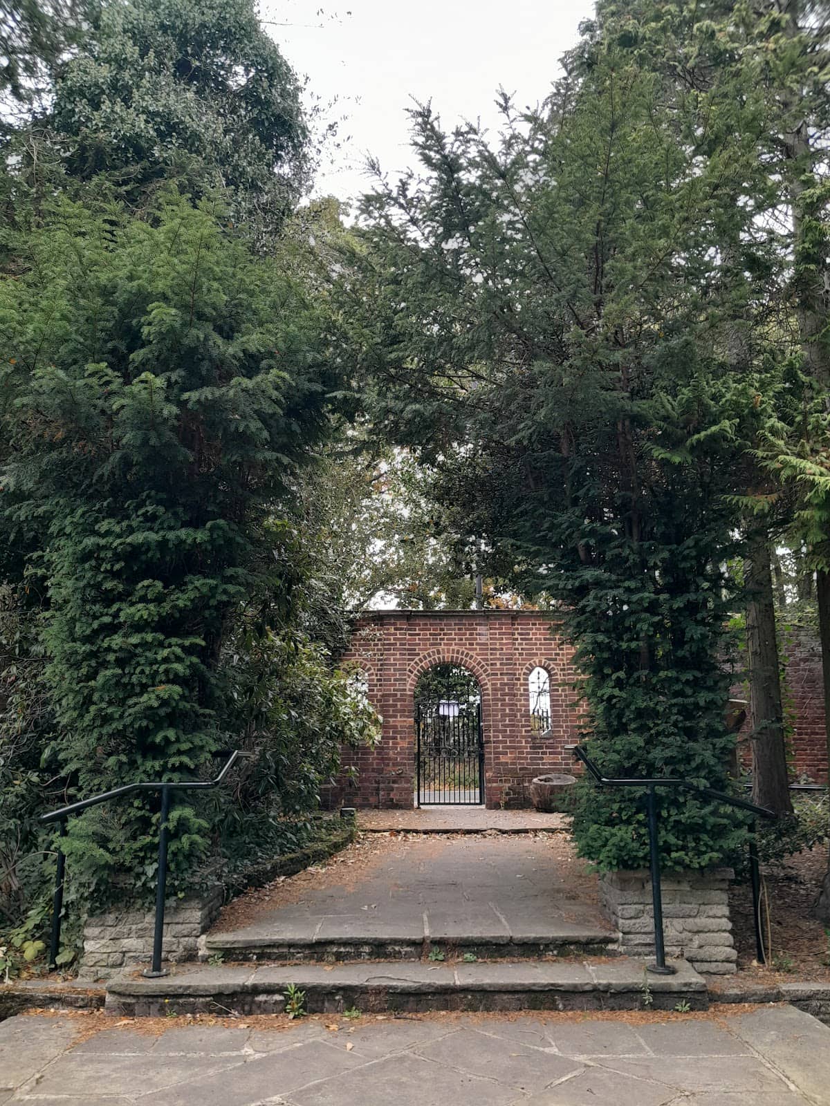 Vertical photo
