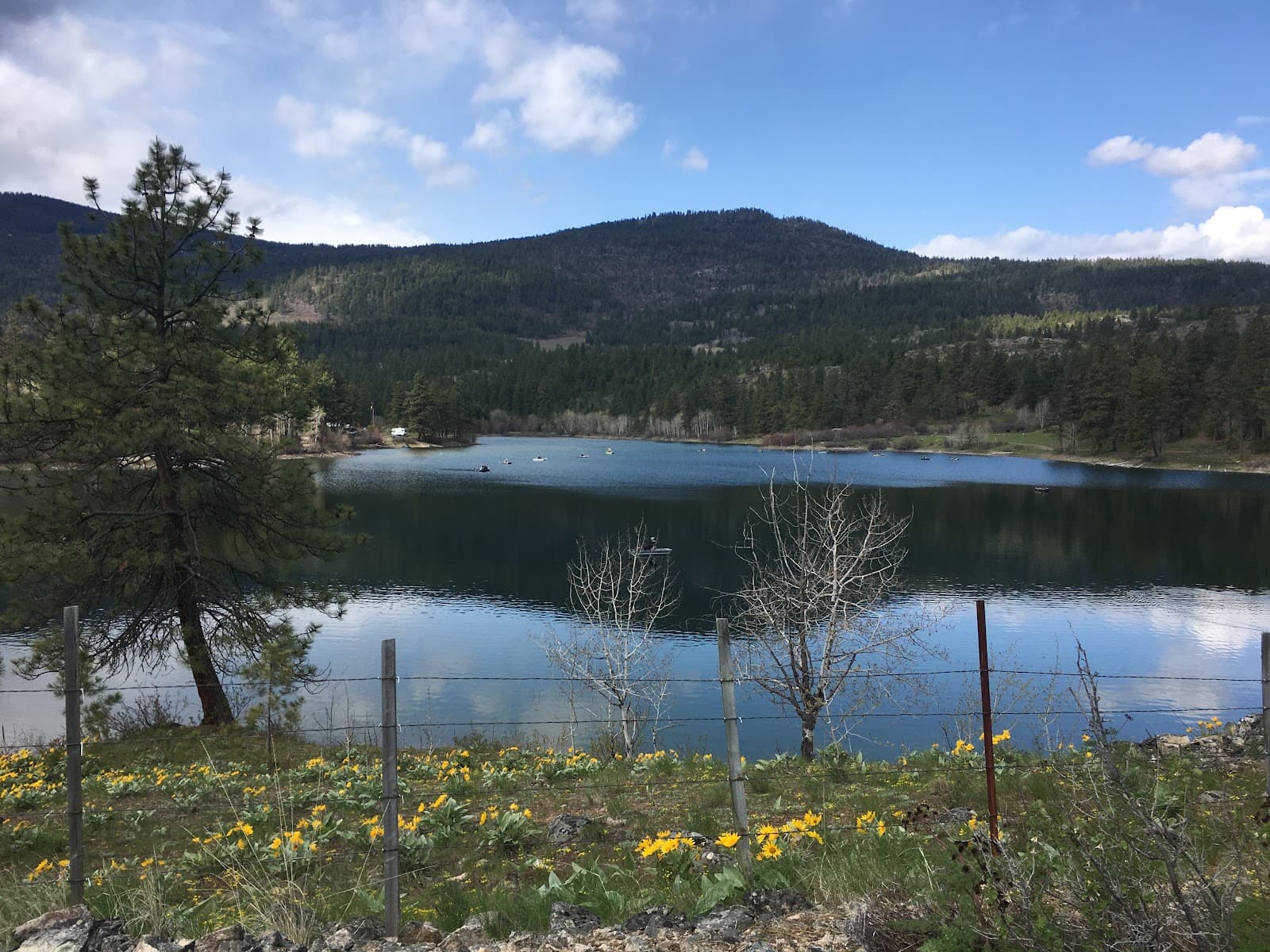 Sawmill Lake - Image 1