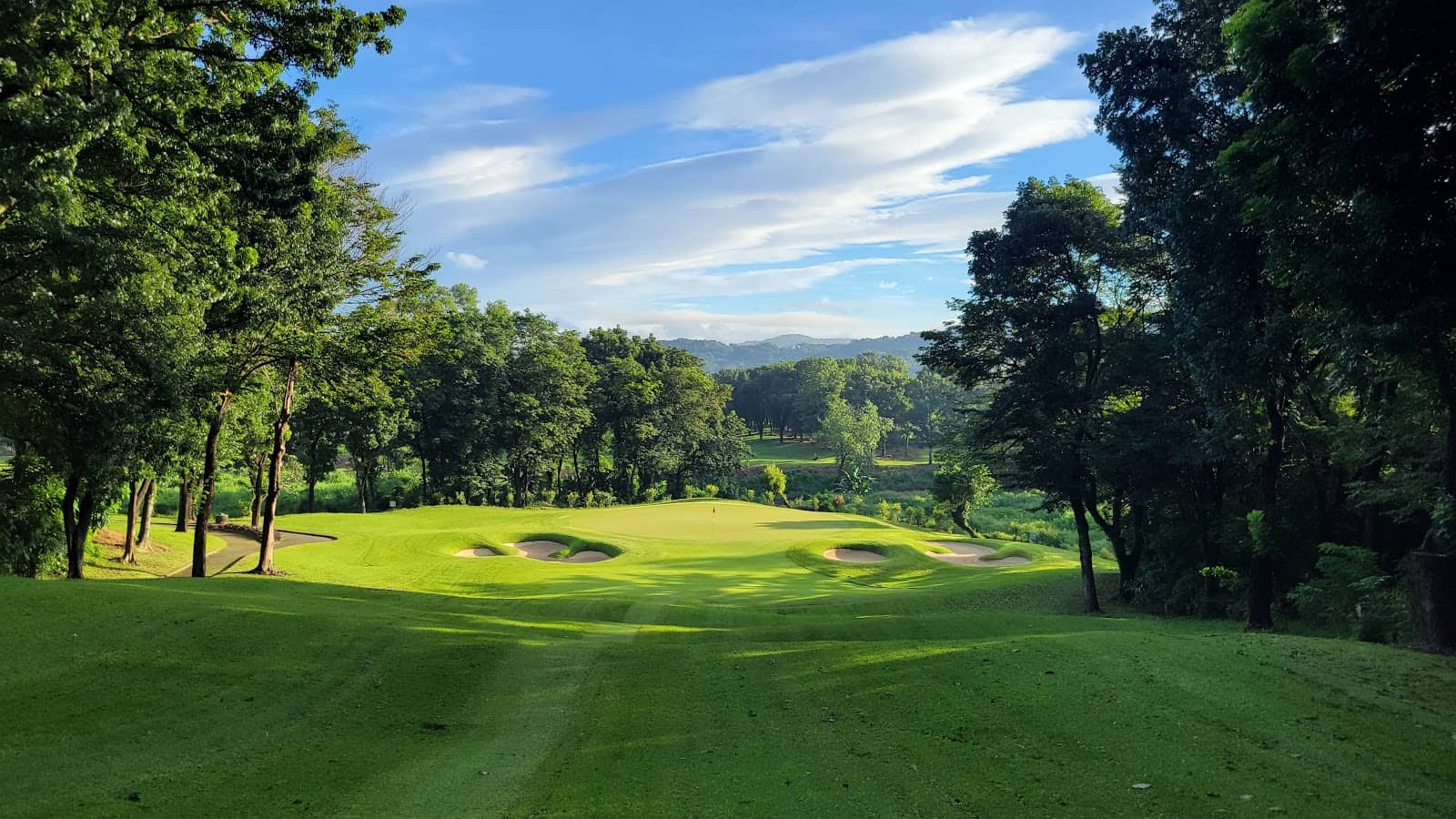 Lush Treelined Surroundings