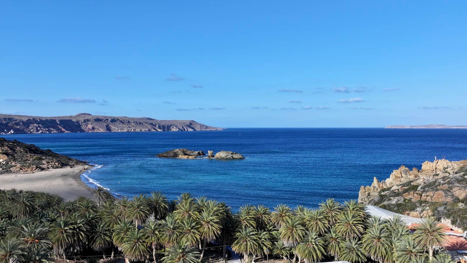 Vai Palm Forest