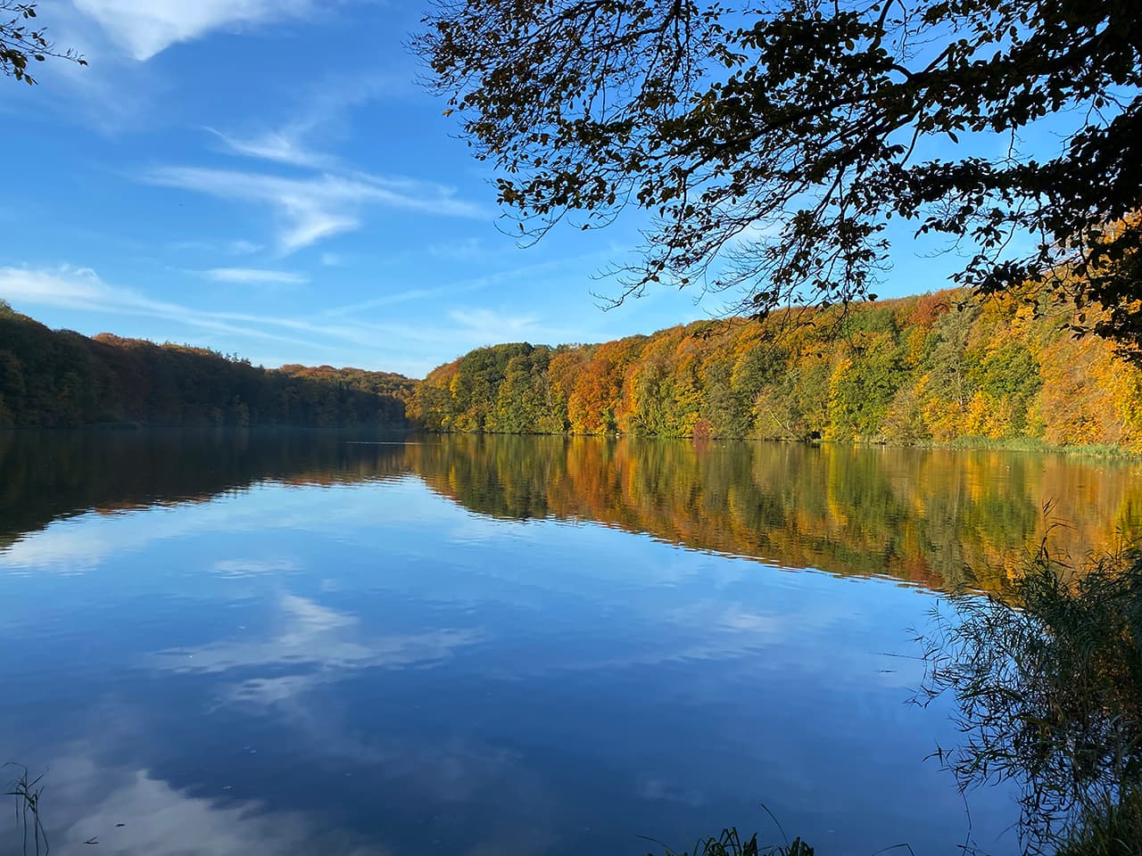 Bygholm Lake - Image 1