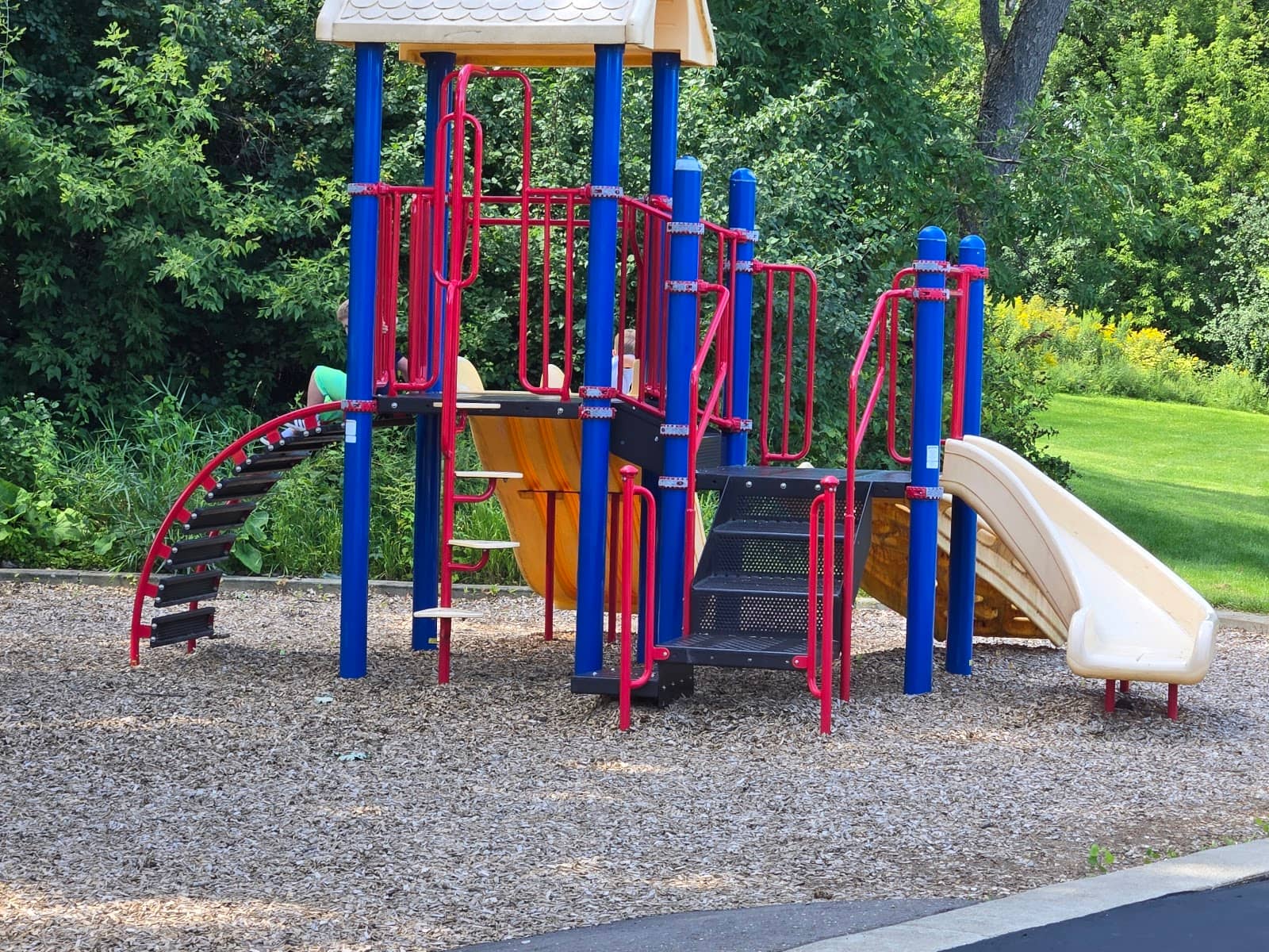 Vibrant Pickleball Courts