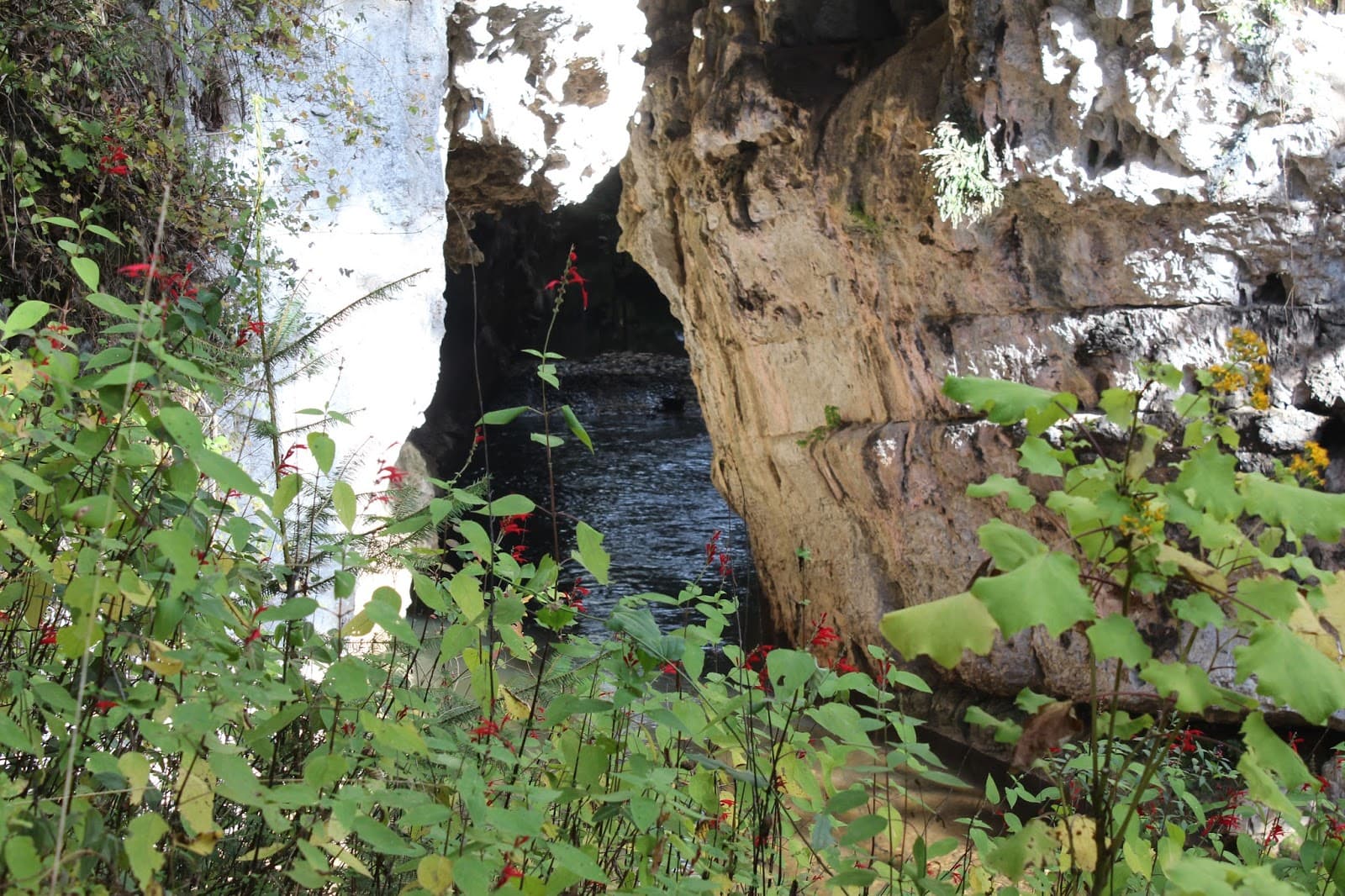 El Arcotete Park - Image 1