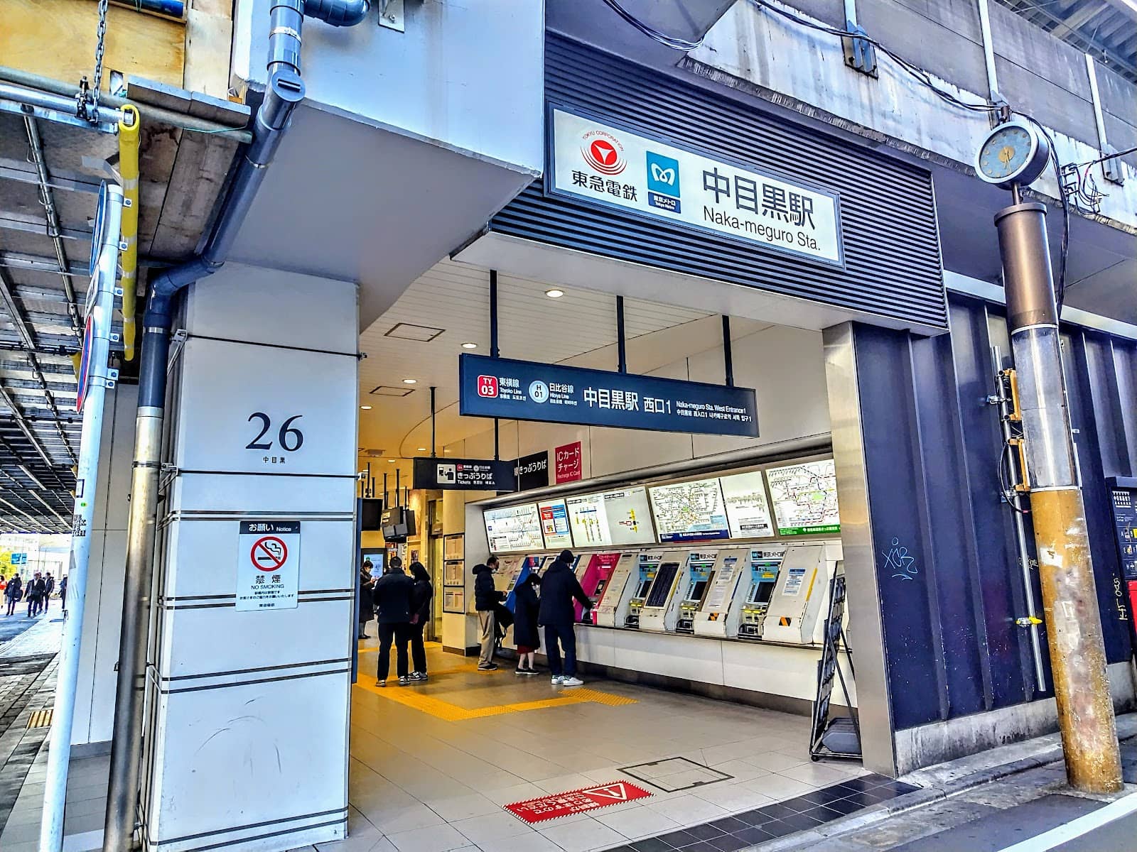 Gourmet Dining Experiences