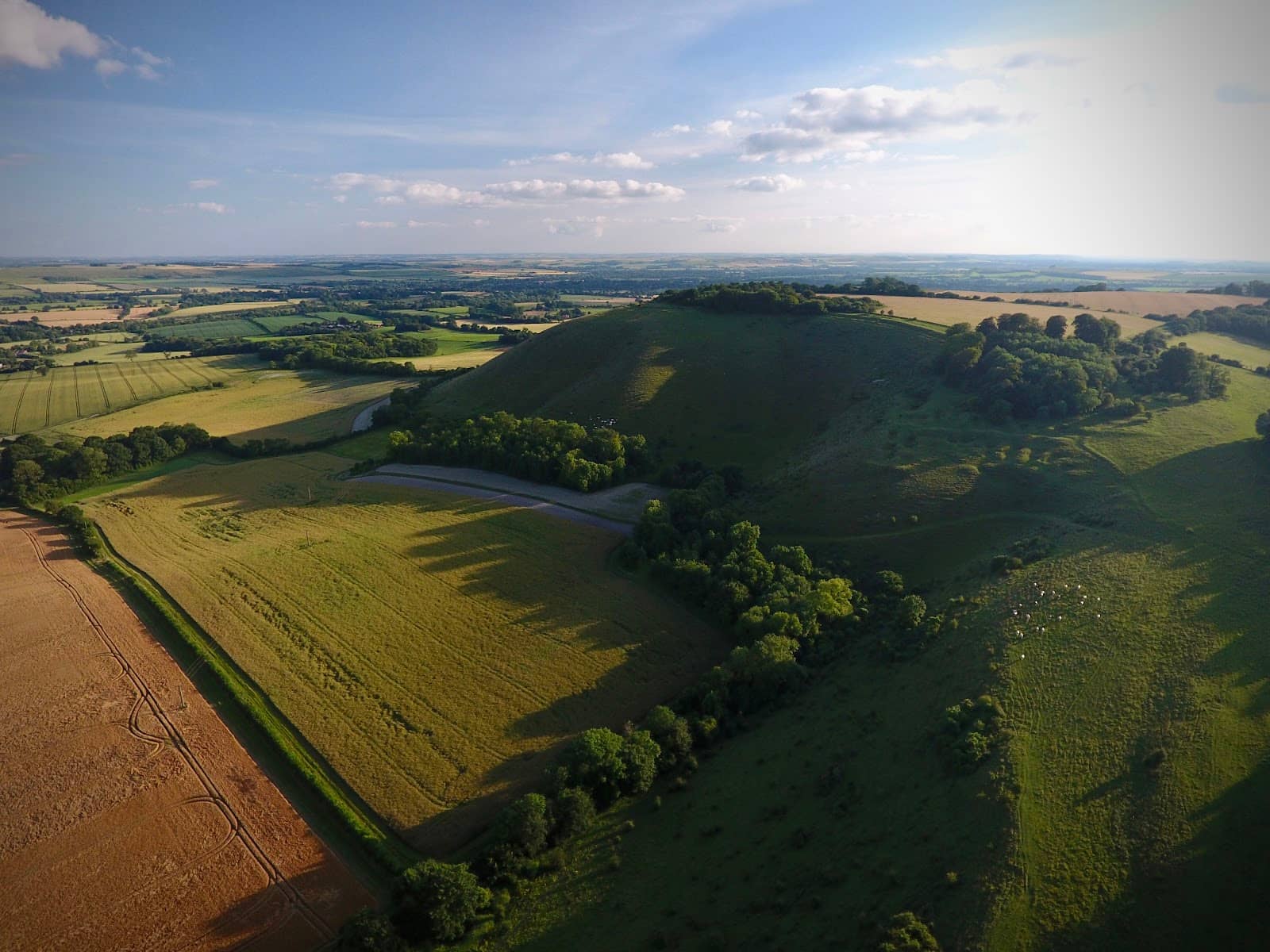 Resting Bench with a View