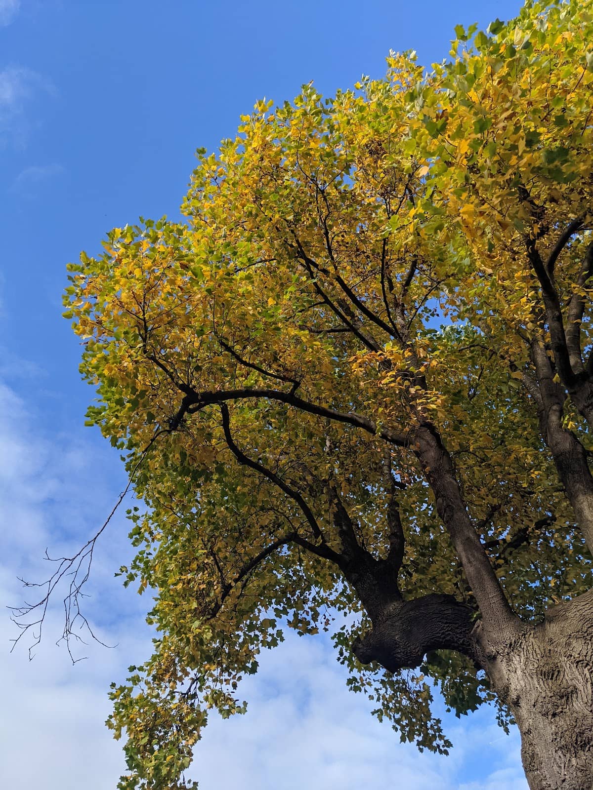 Vertical photo