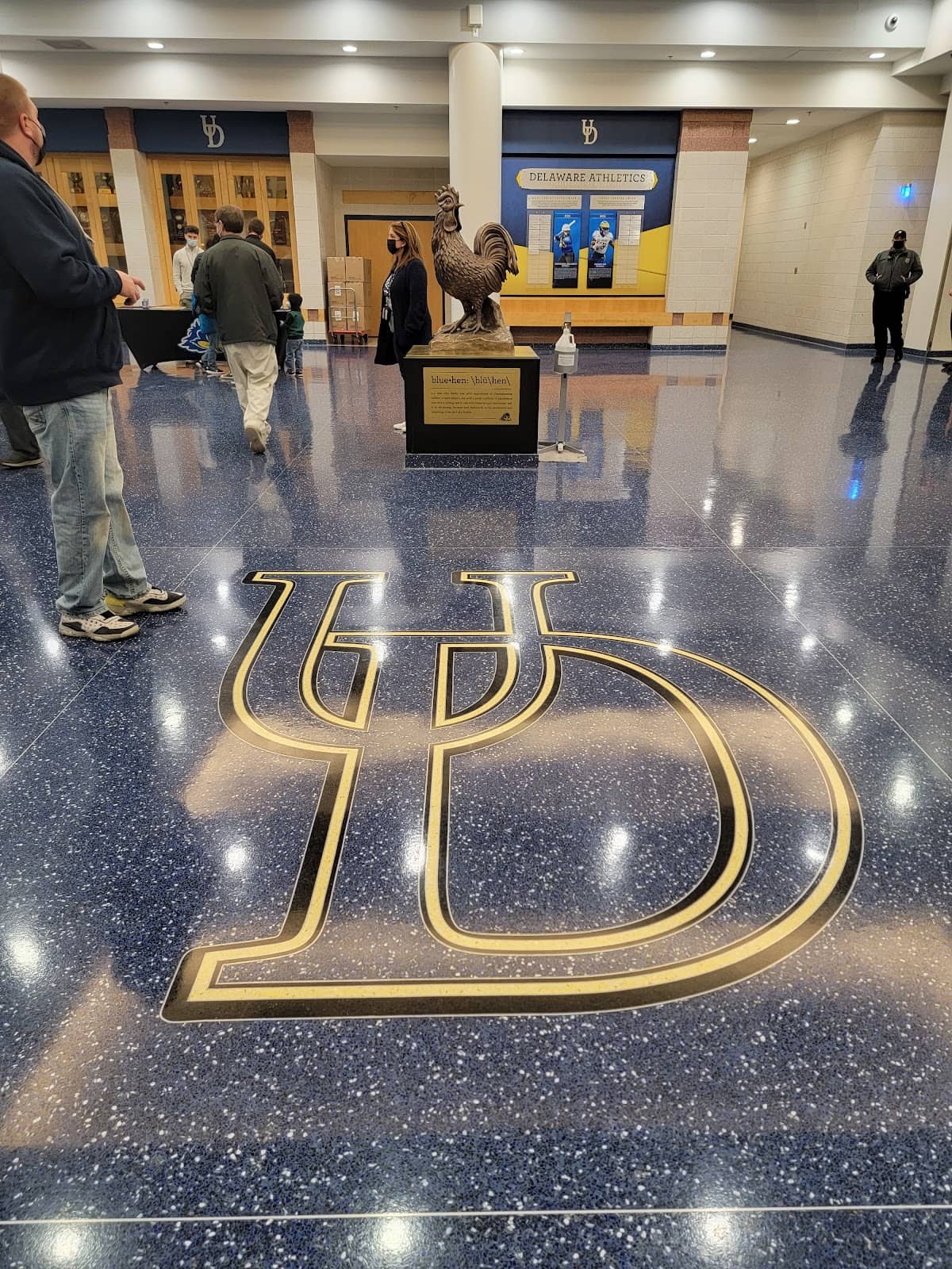 Concerts & Live Performances