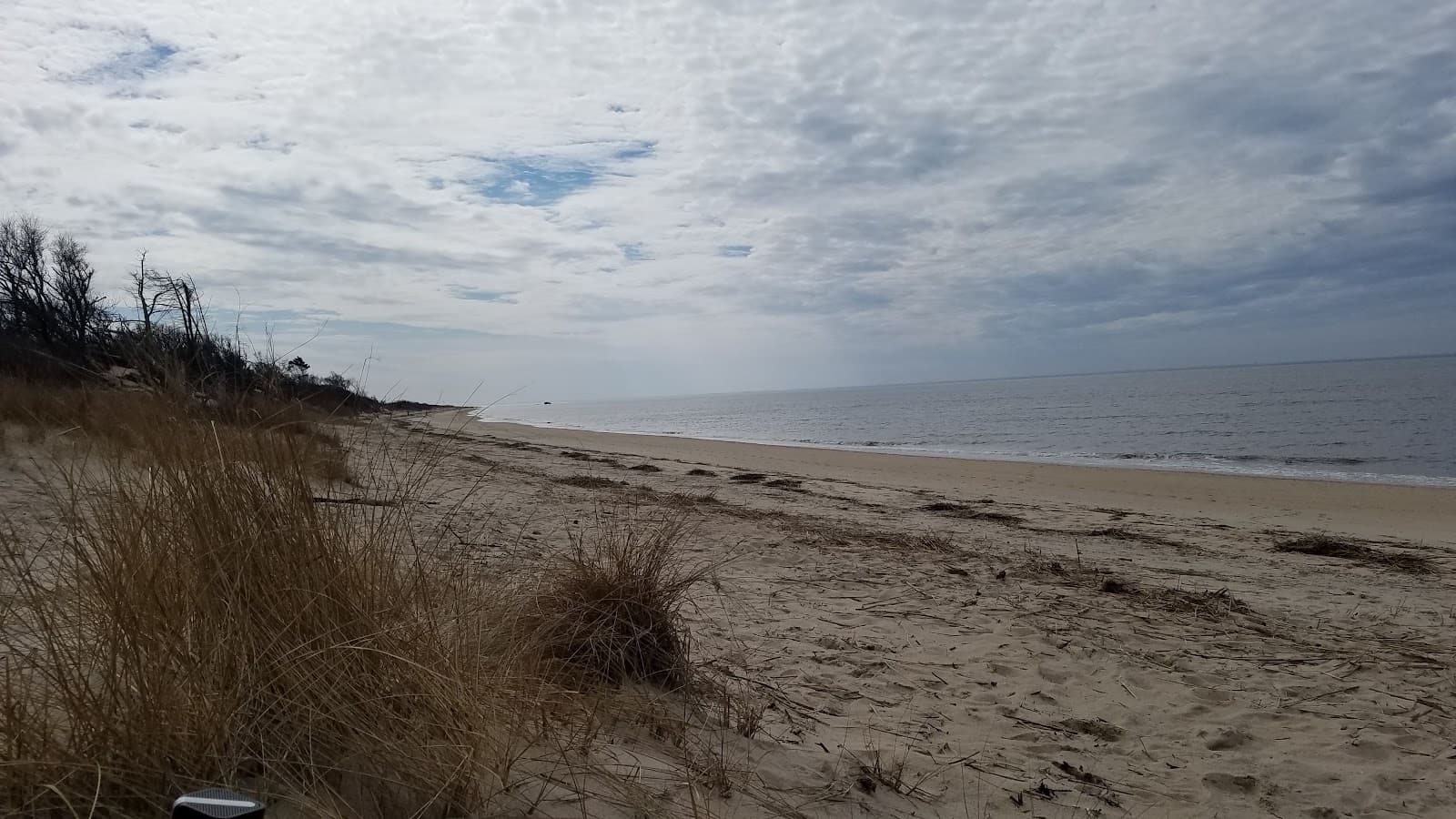 Higbee Beach Wildlife Management Area - Image 1