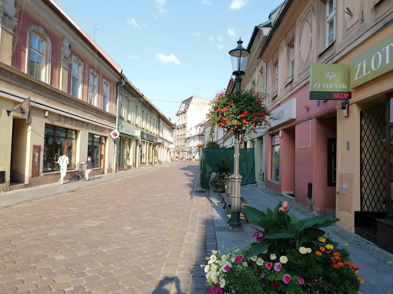 Patriotic Parrots