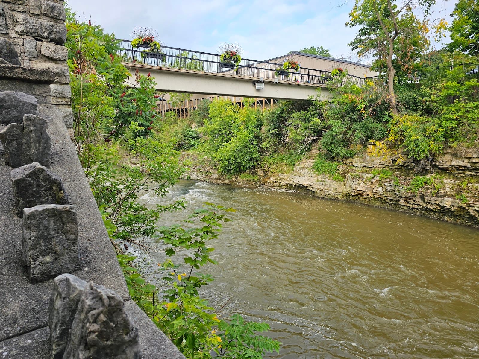 Templin Gardens - Image 1