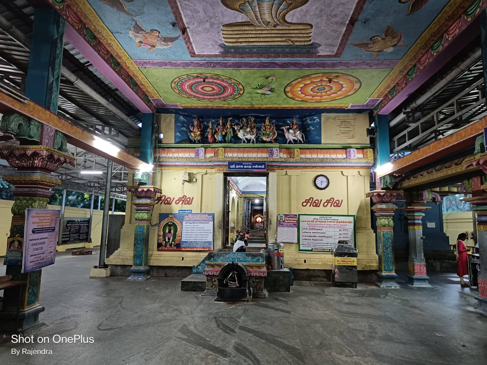 Lord Naganathar (Shiva)