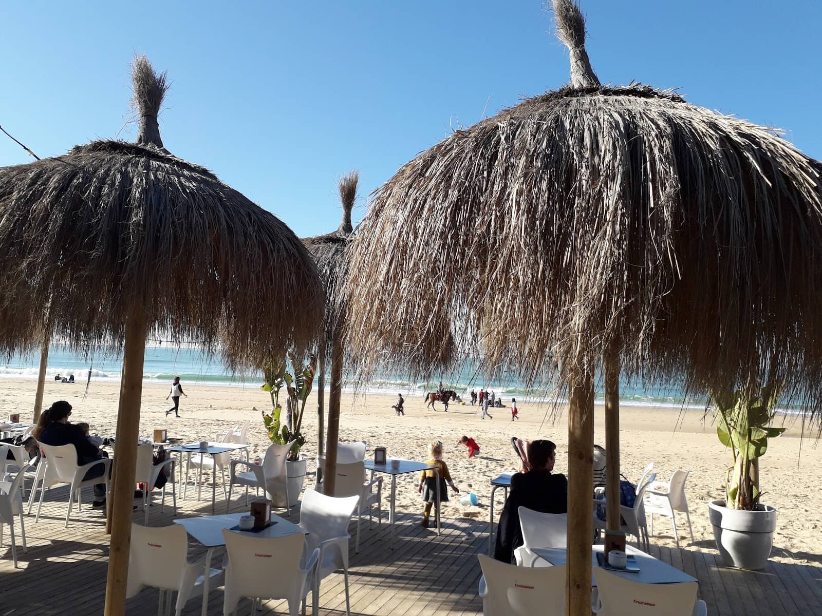 Rooftop Dining in Quito
