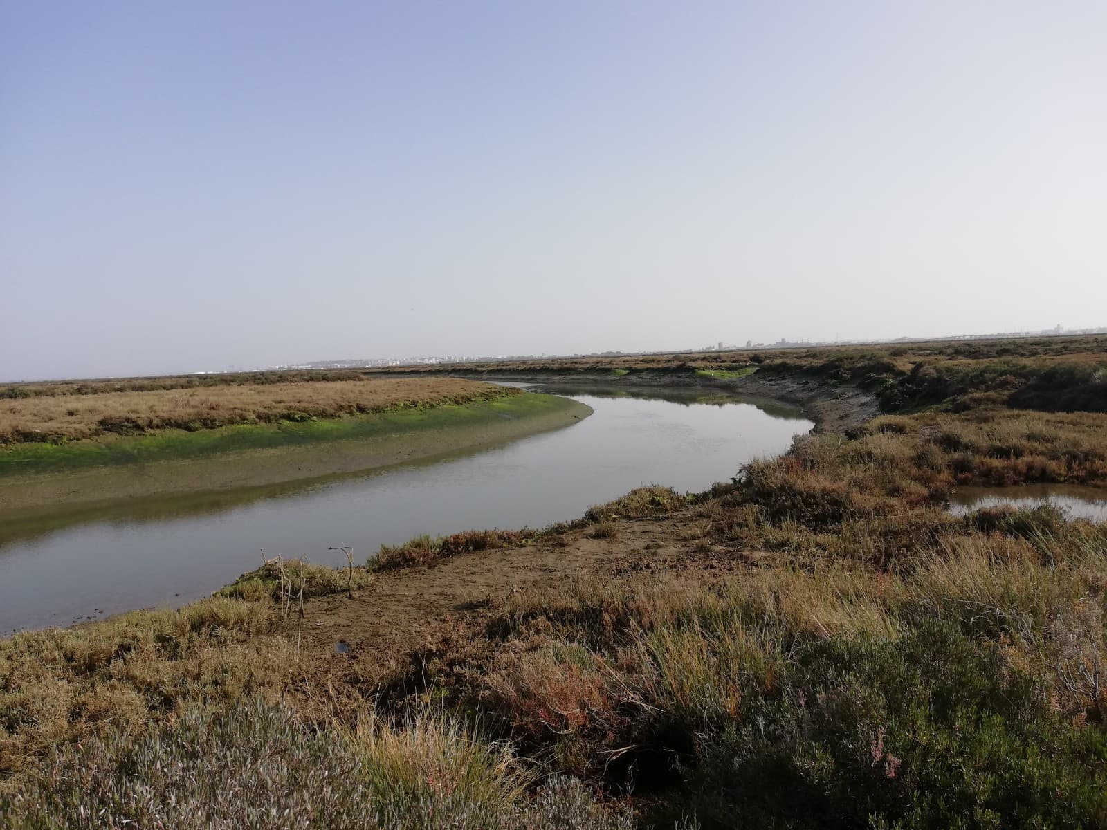 Salinas del Astur - Image 1