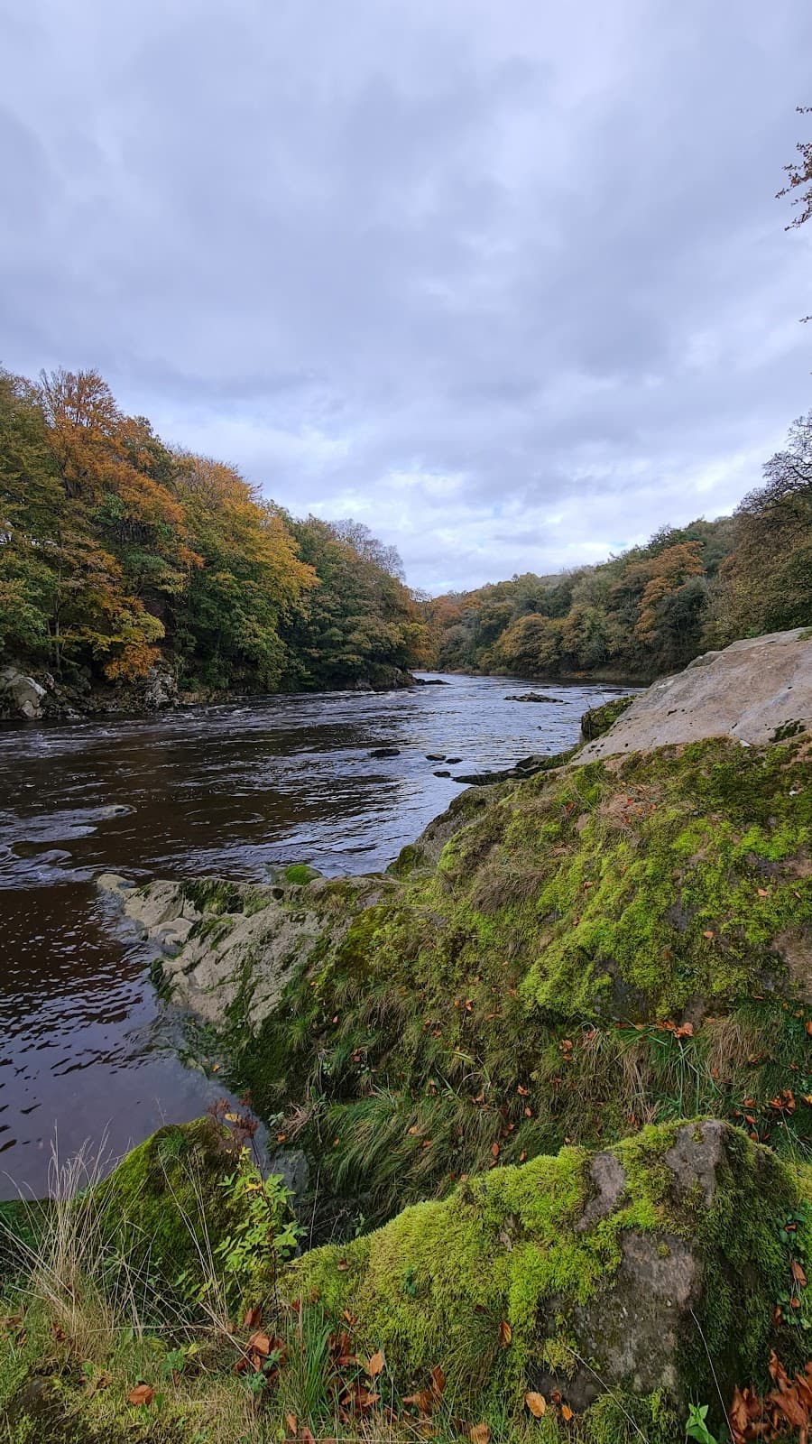 Marles Wood - Image 1