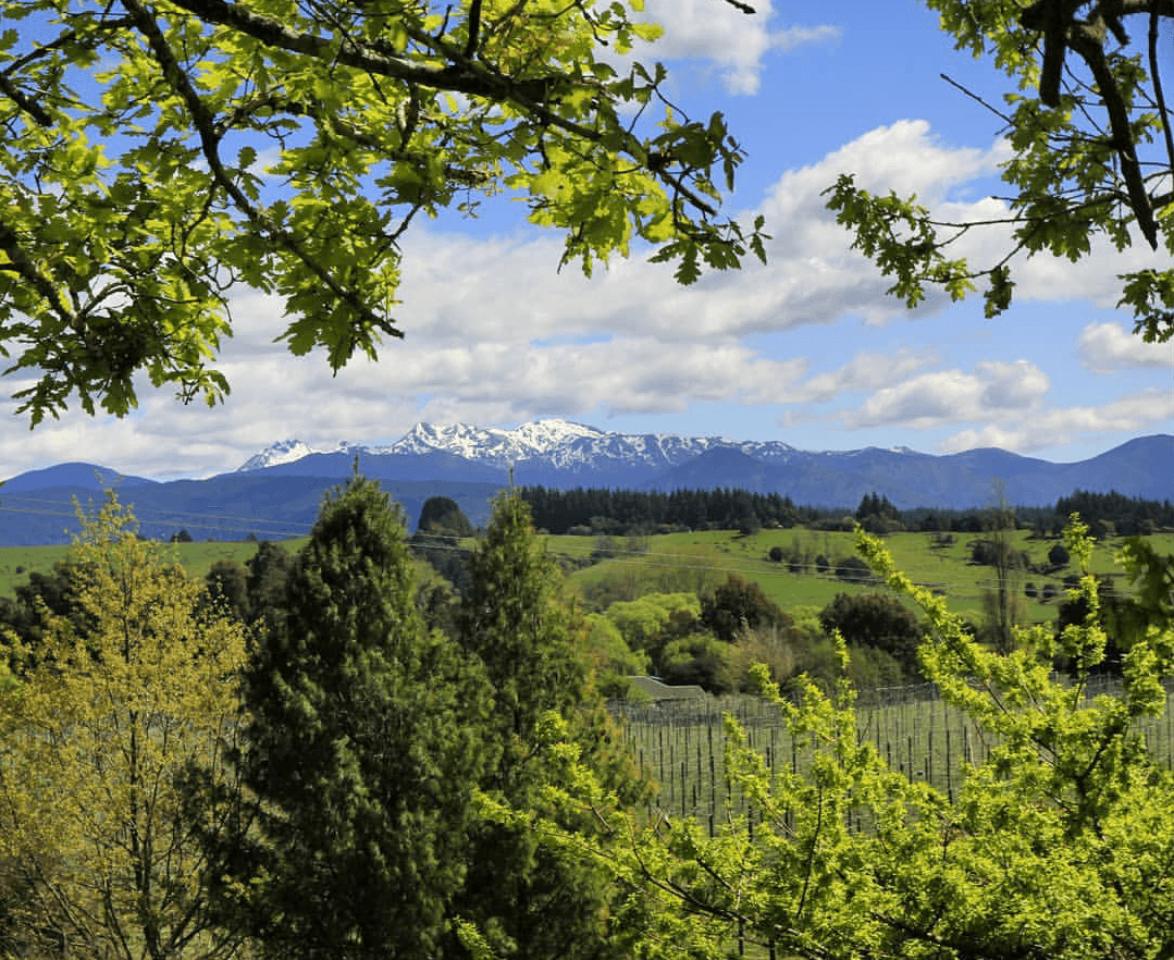 Upper Moutere Inn