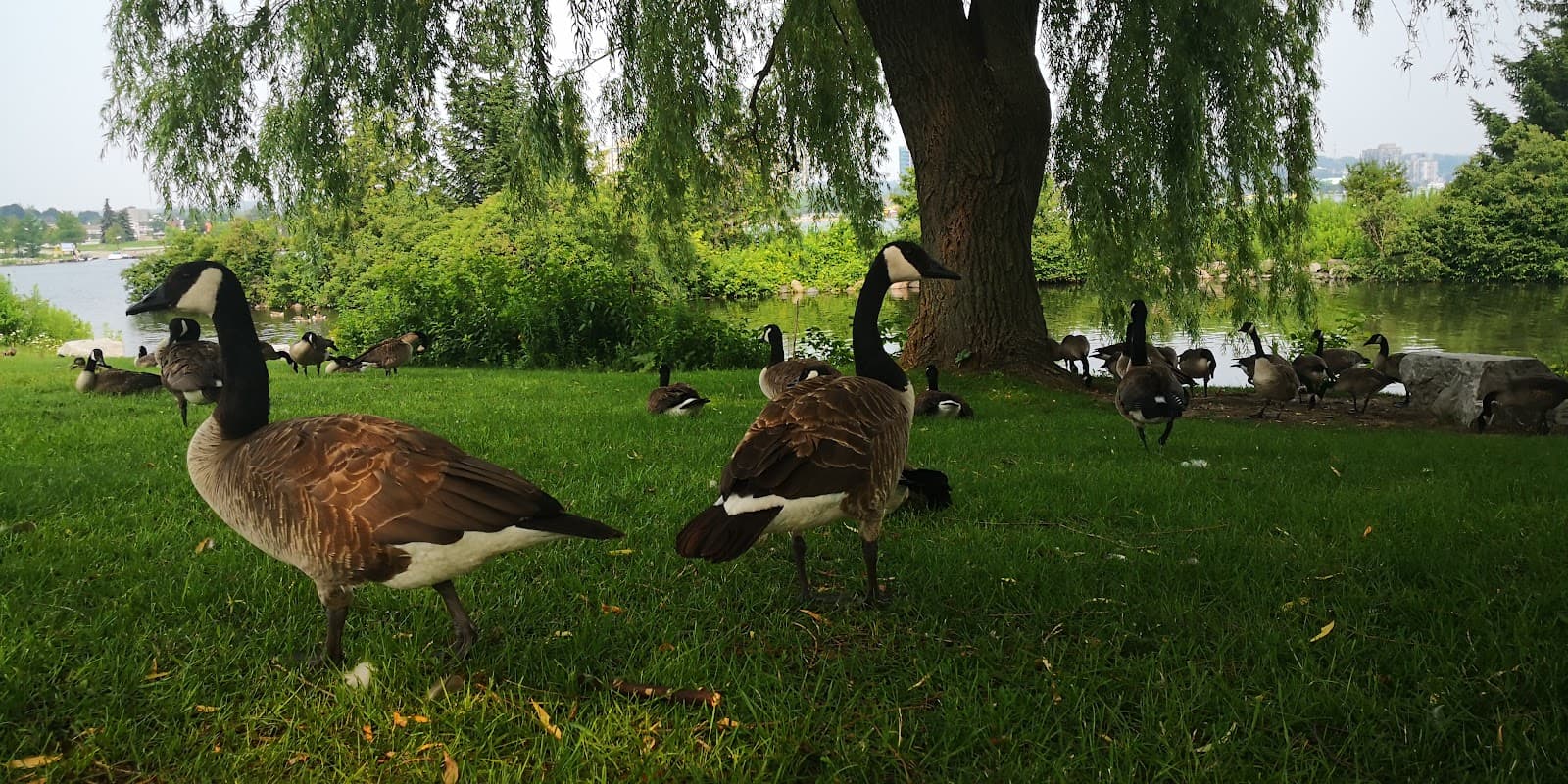Barrie Waterfront Trail - Image 1