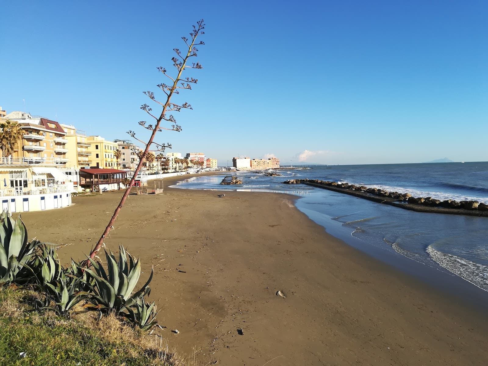 Riviera Vittorio Mallozzi - Image 1