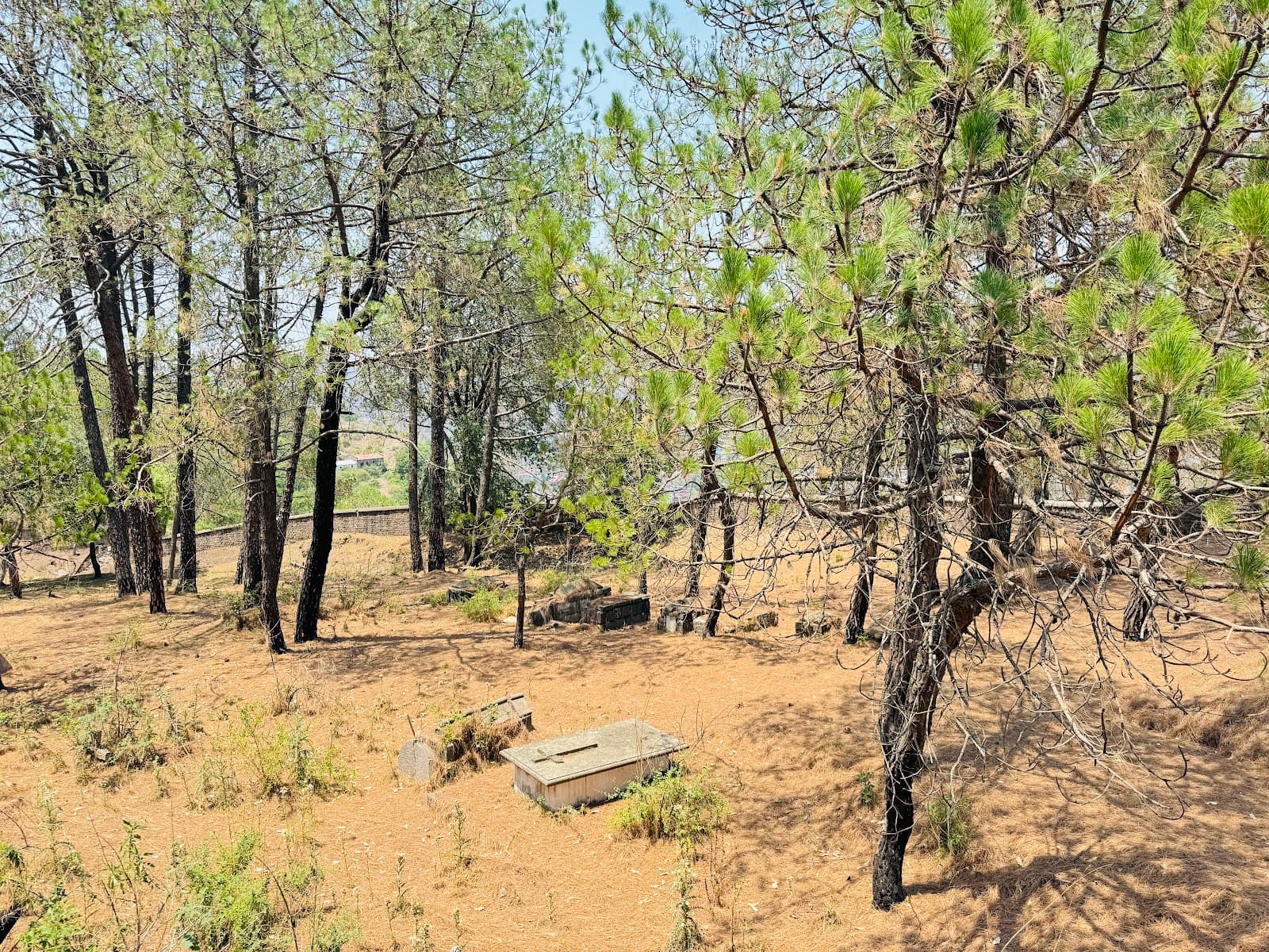 Dagshai British Cemetery - Image 1