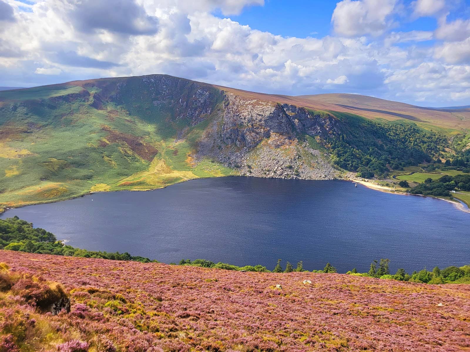 Beyond the Trees Avondale