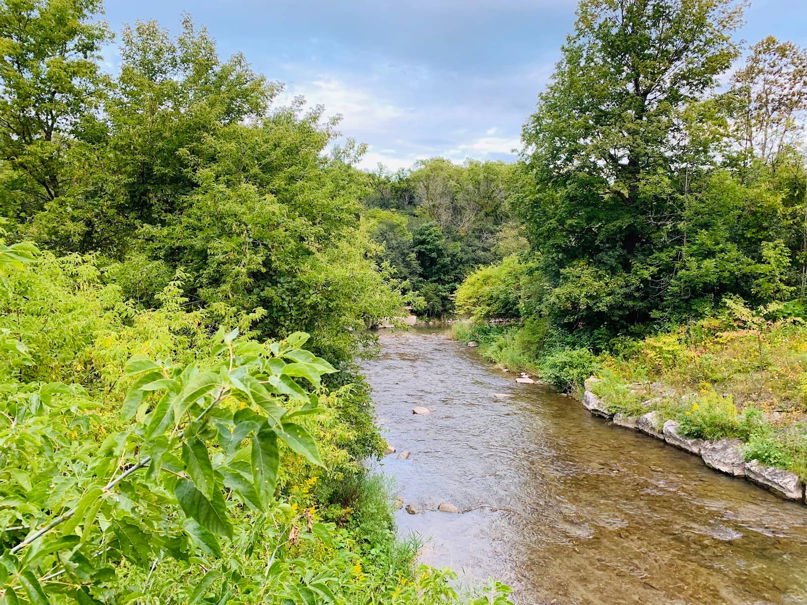 Salmon Run
