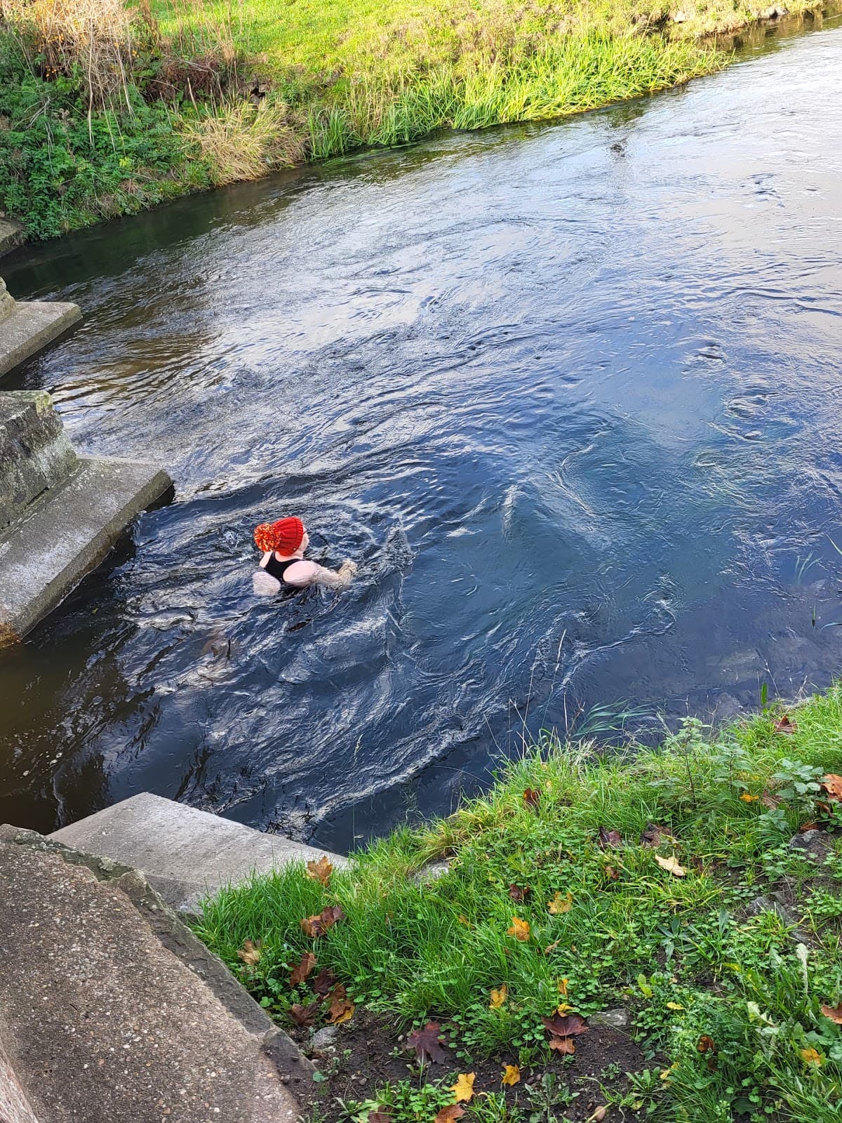 River Ryton Walk - Image 1