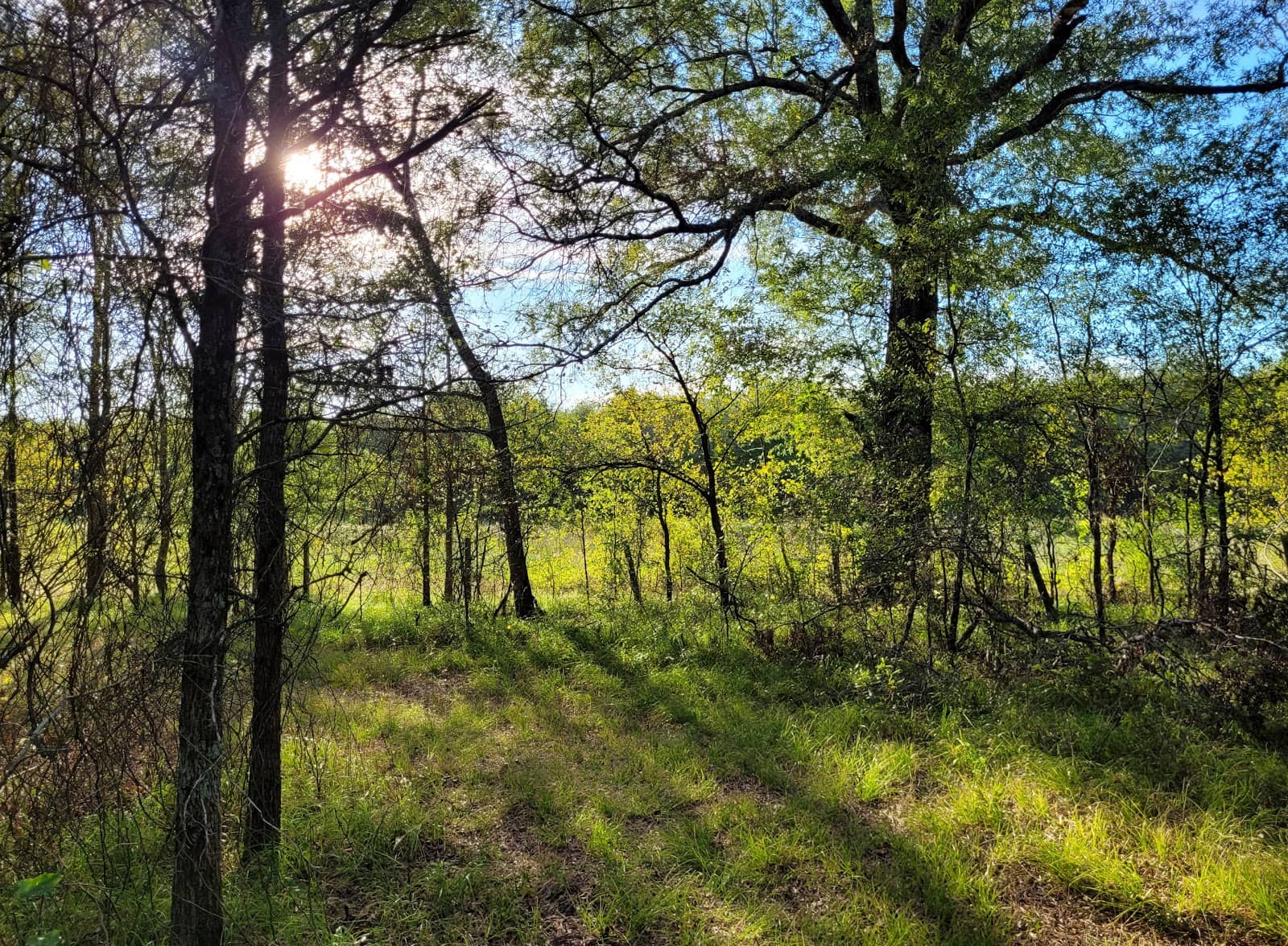 Hunting Opportunities