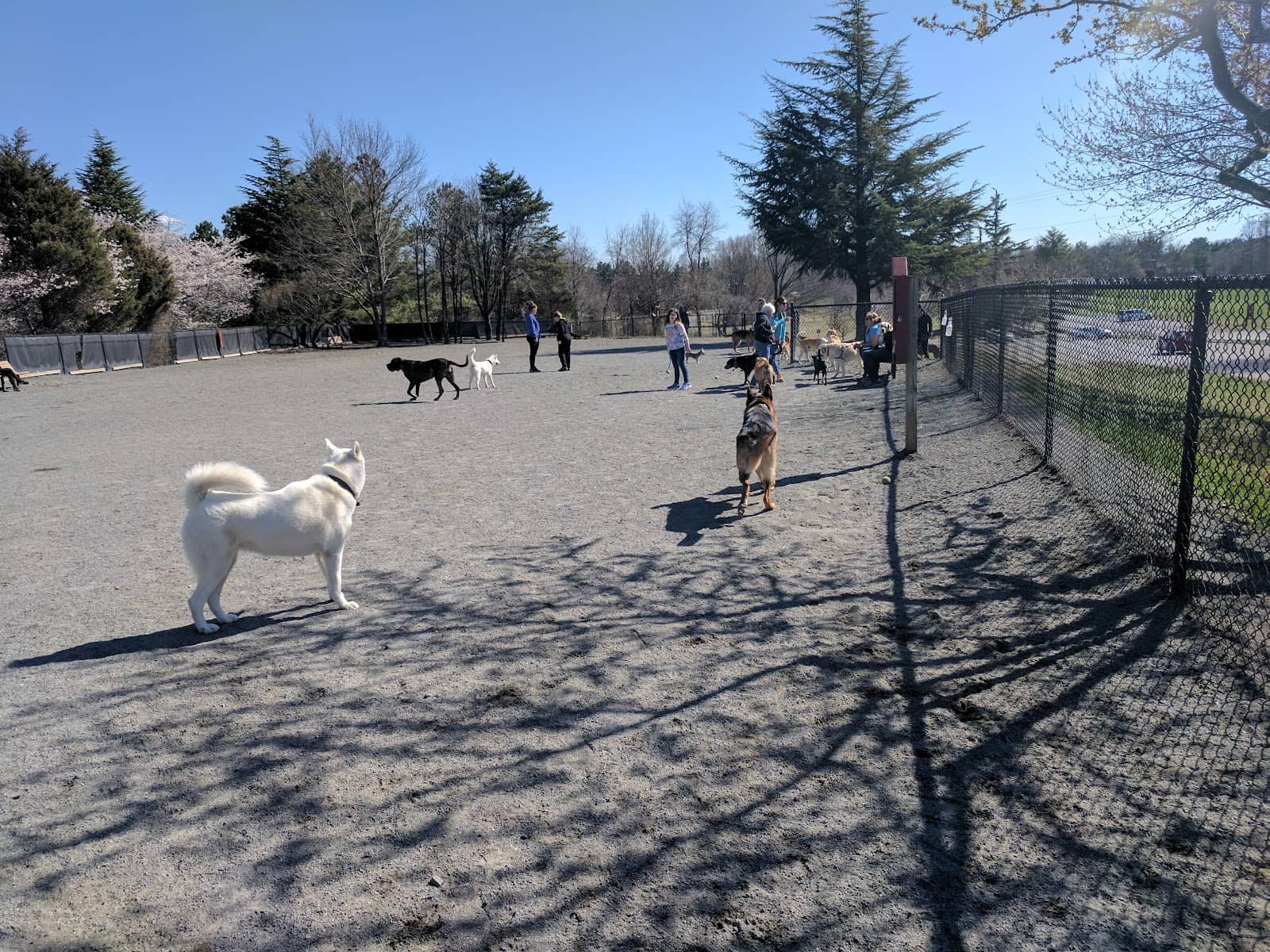 Athletic Fields