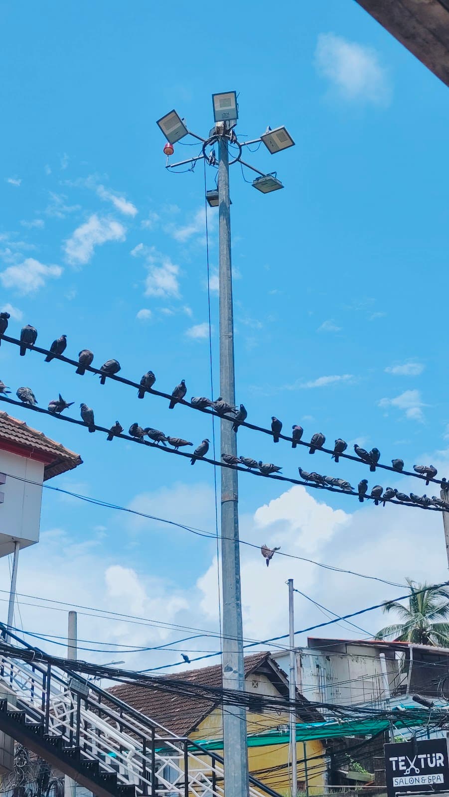 Gujarati Street Mattancherry - Image 1