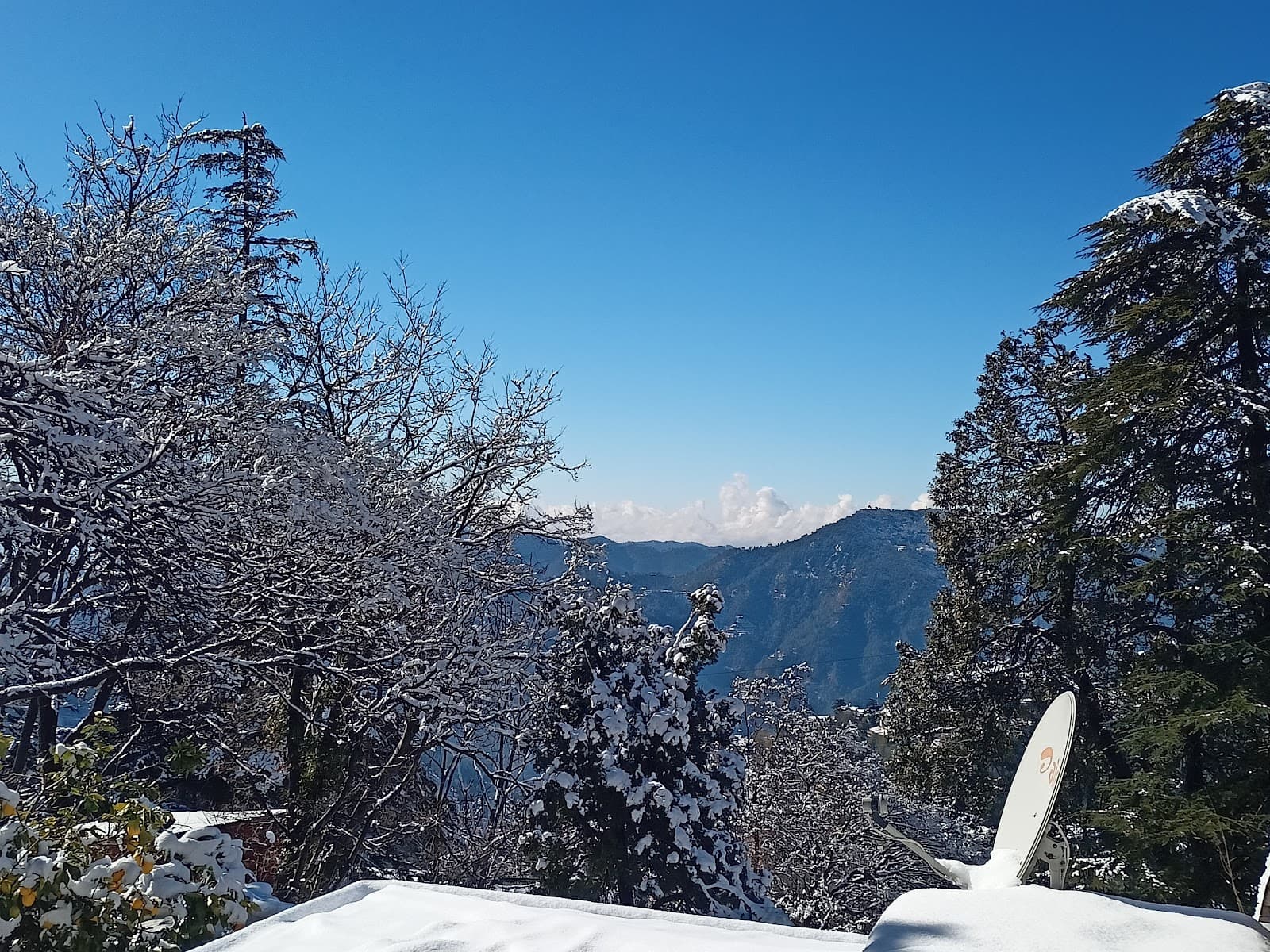 Chhota Shimla - Image 1