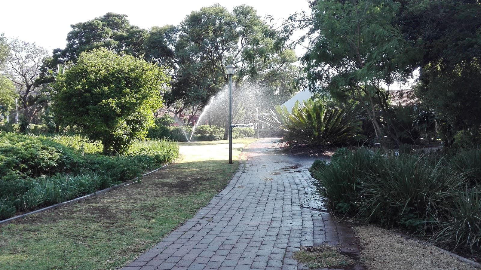 Springbok Park Hatfield - Image 1