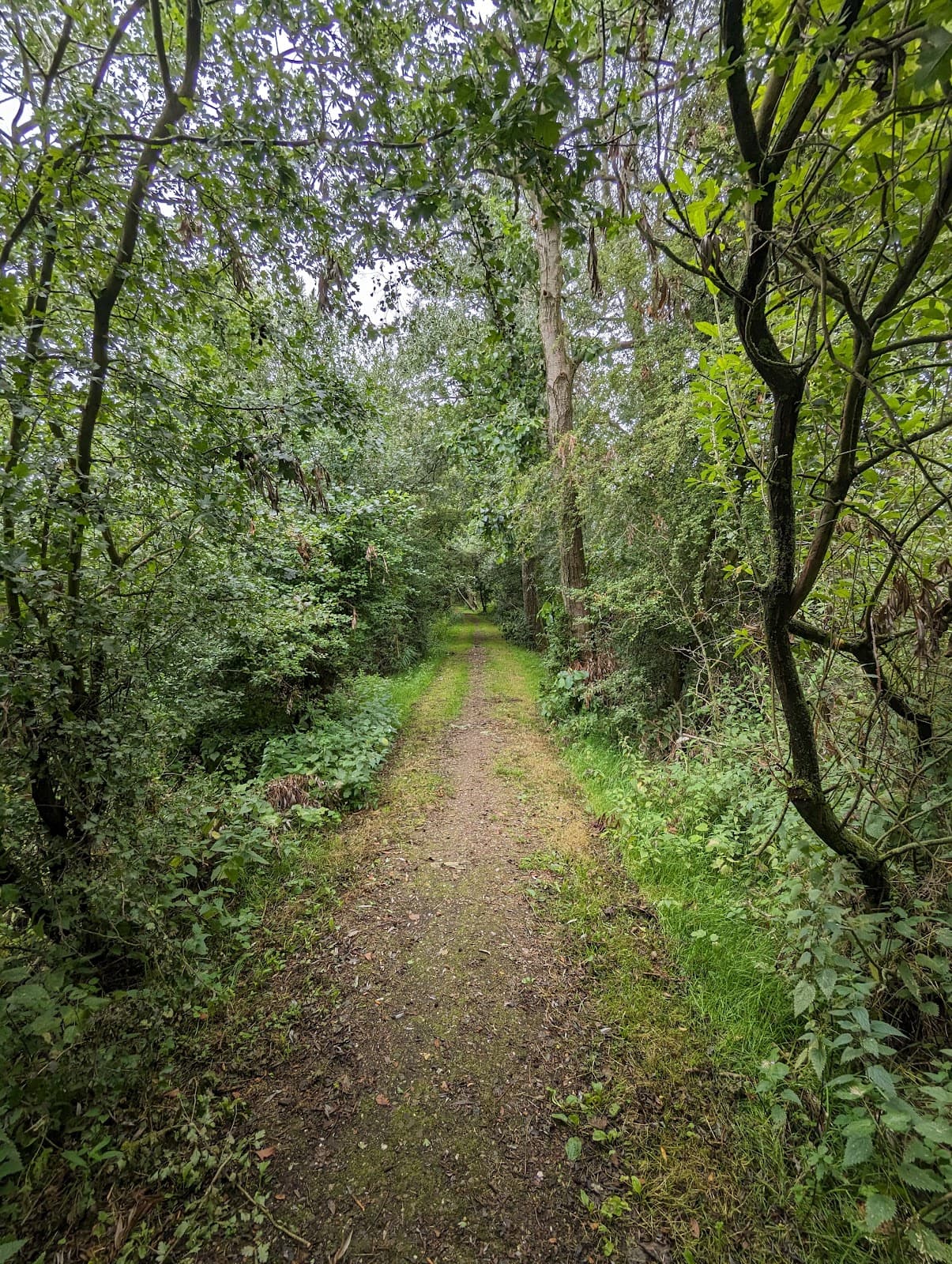 Oostvaardersplassen (Lelystad) - Image 1