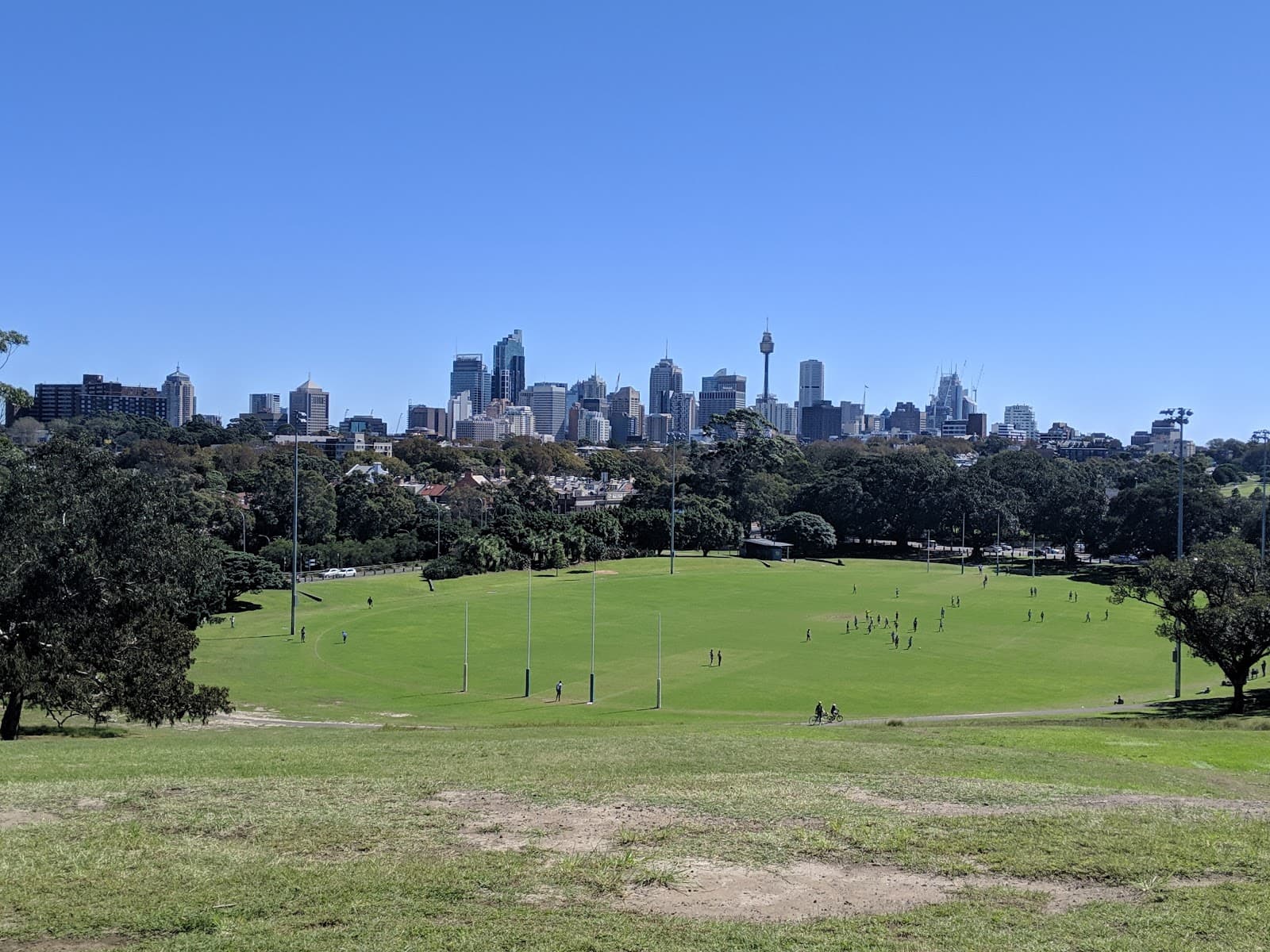 Mount Steele (Cleveland St, Moore Park) - Image 1