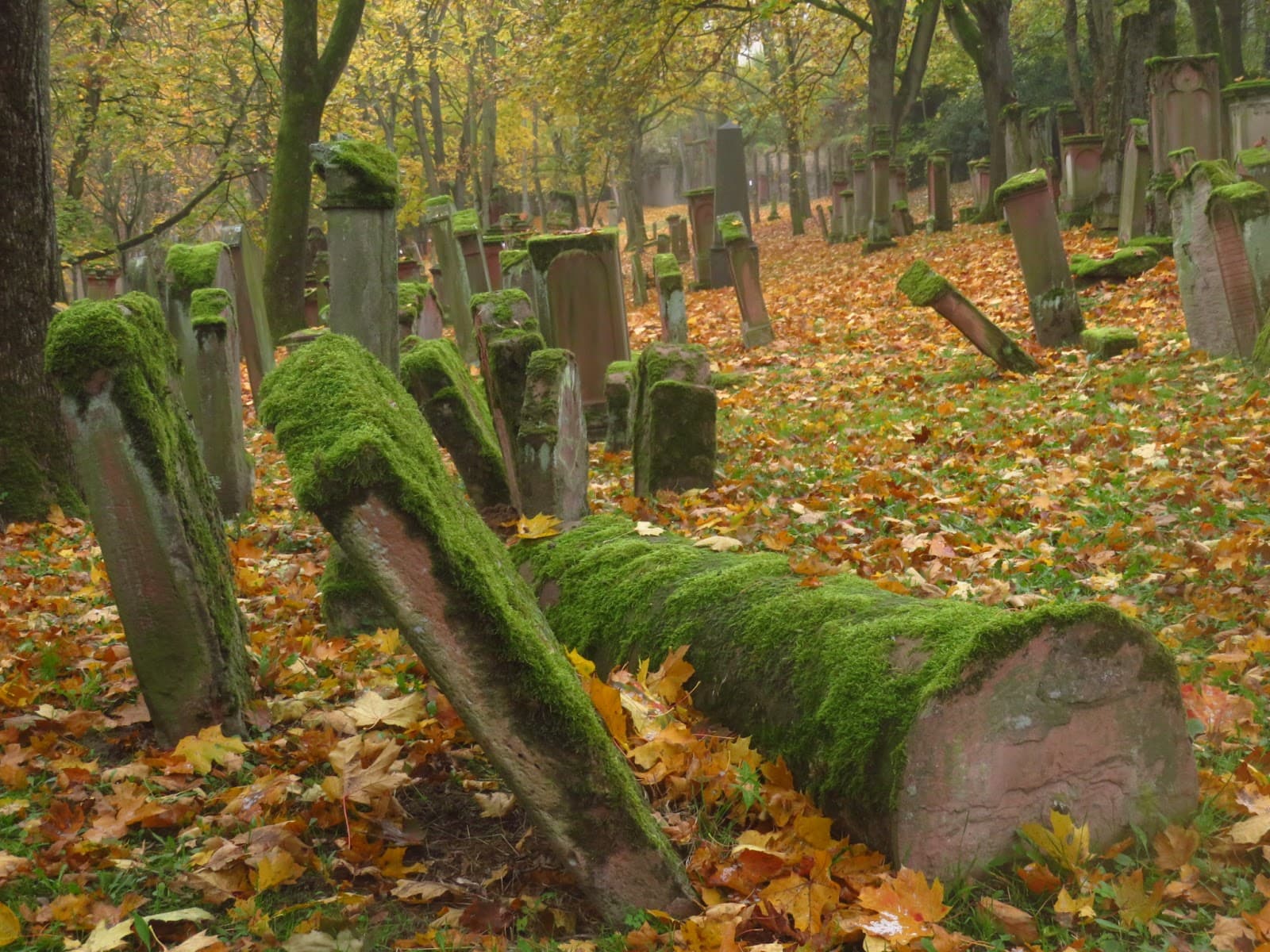 Judensand Jewish Cemetery Worms - Image 1