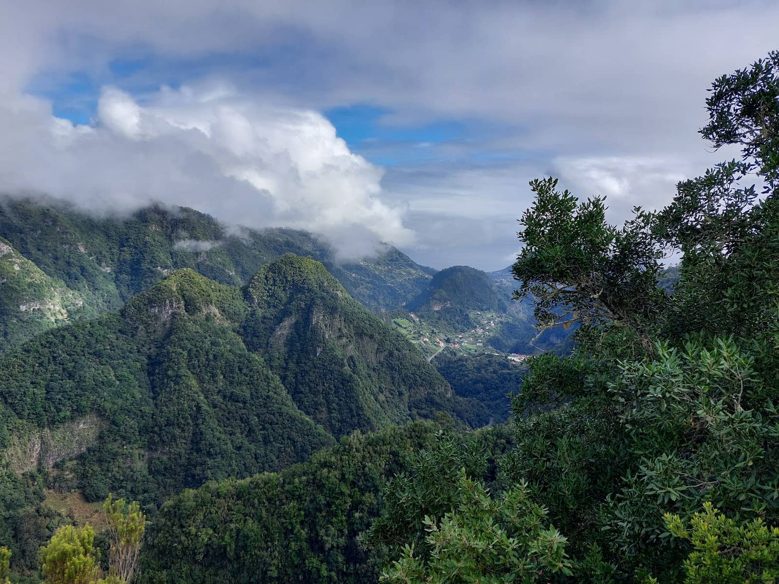 Tranquil Walking Paths